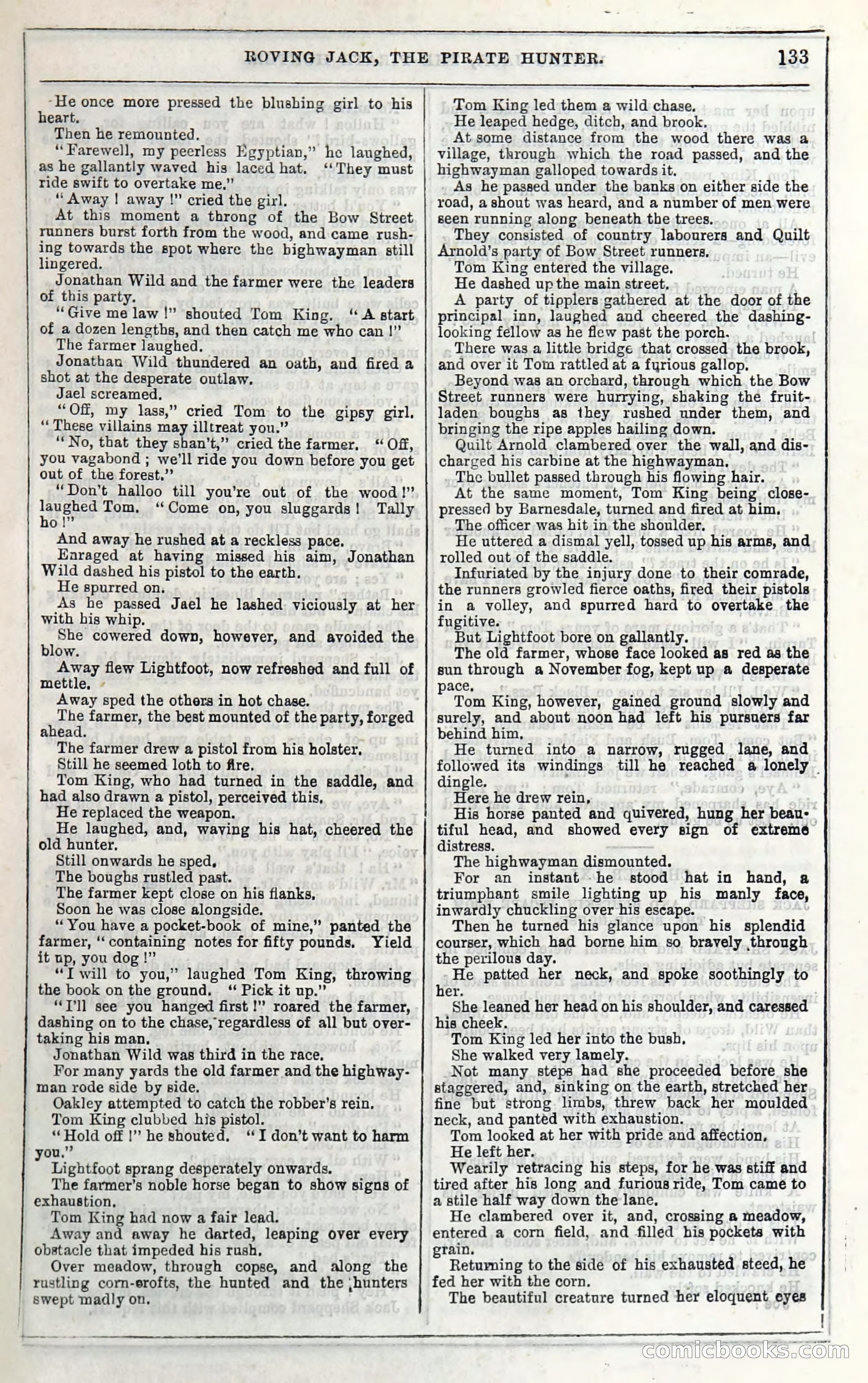 Roving Jack, The Pirate Hunter — page 113: Penny Dreadfuls, 1867