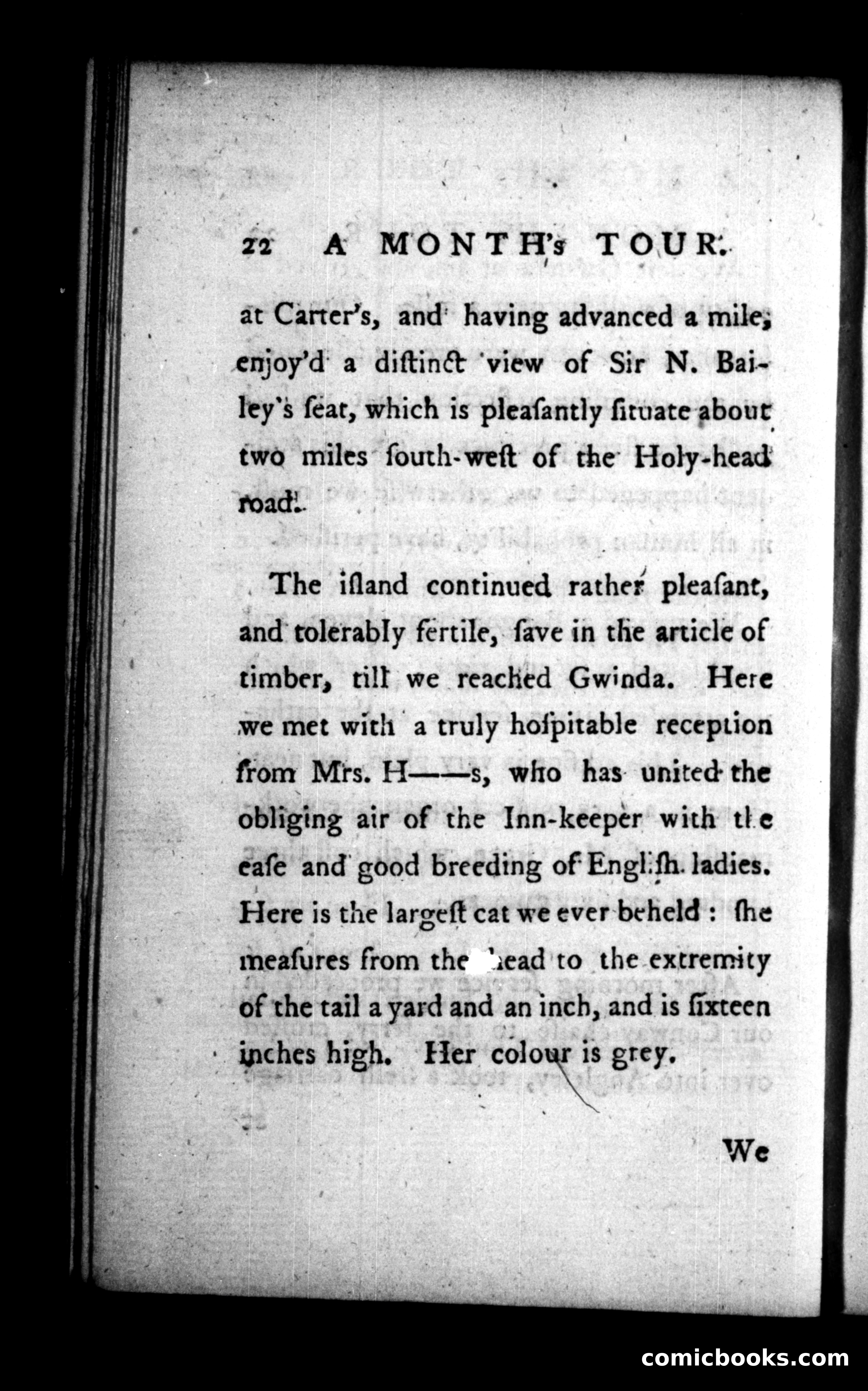 A Month's Tour, &c. — page 22: Penny Dreadfuls, 1781