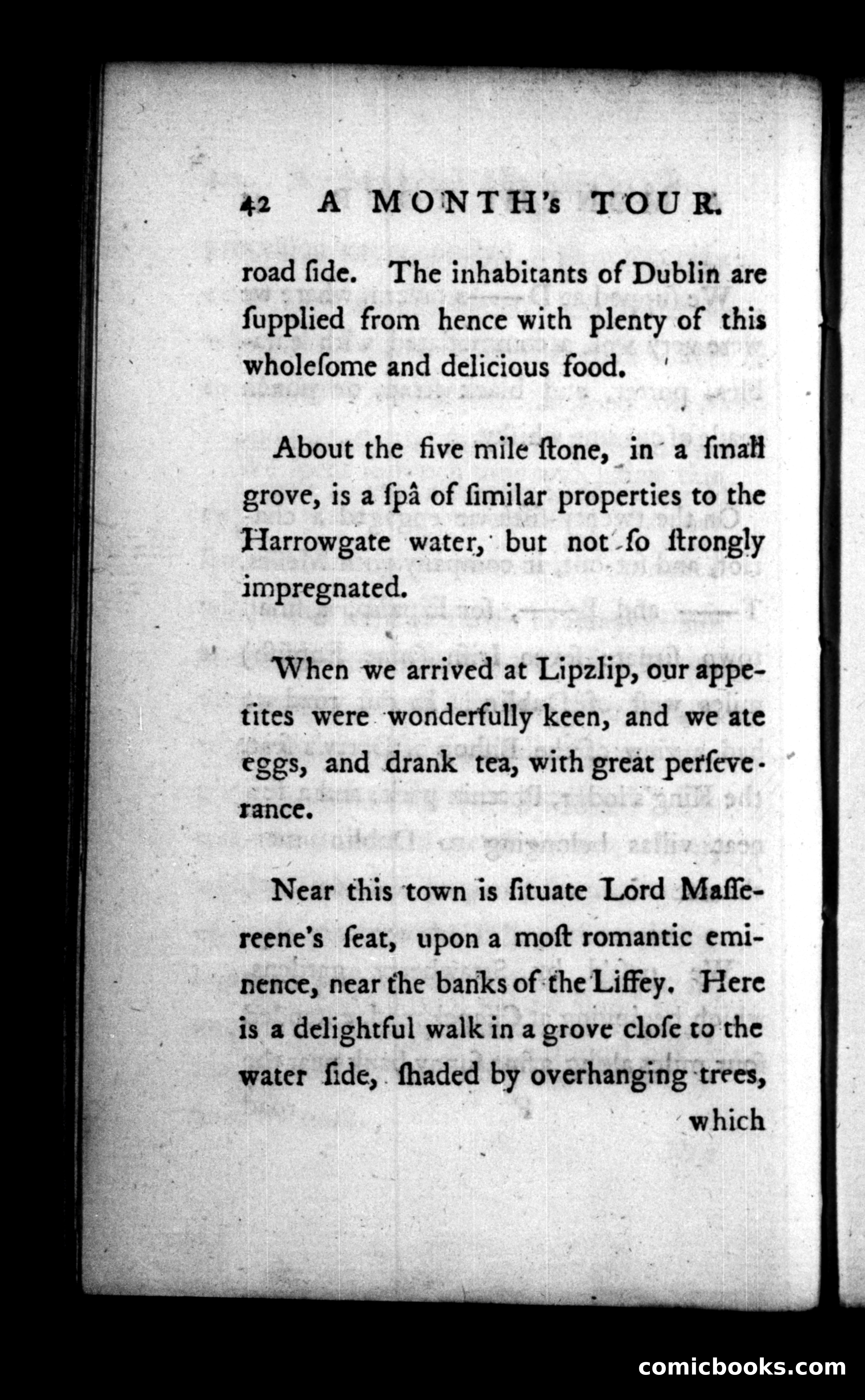 A Month's Tour, &c. — page 42 of 120