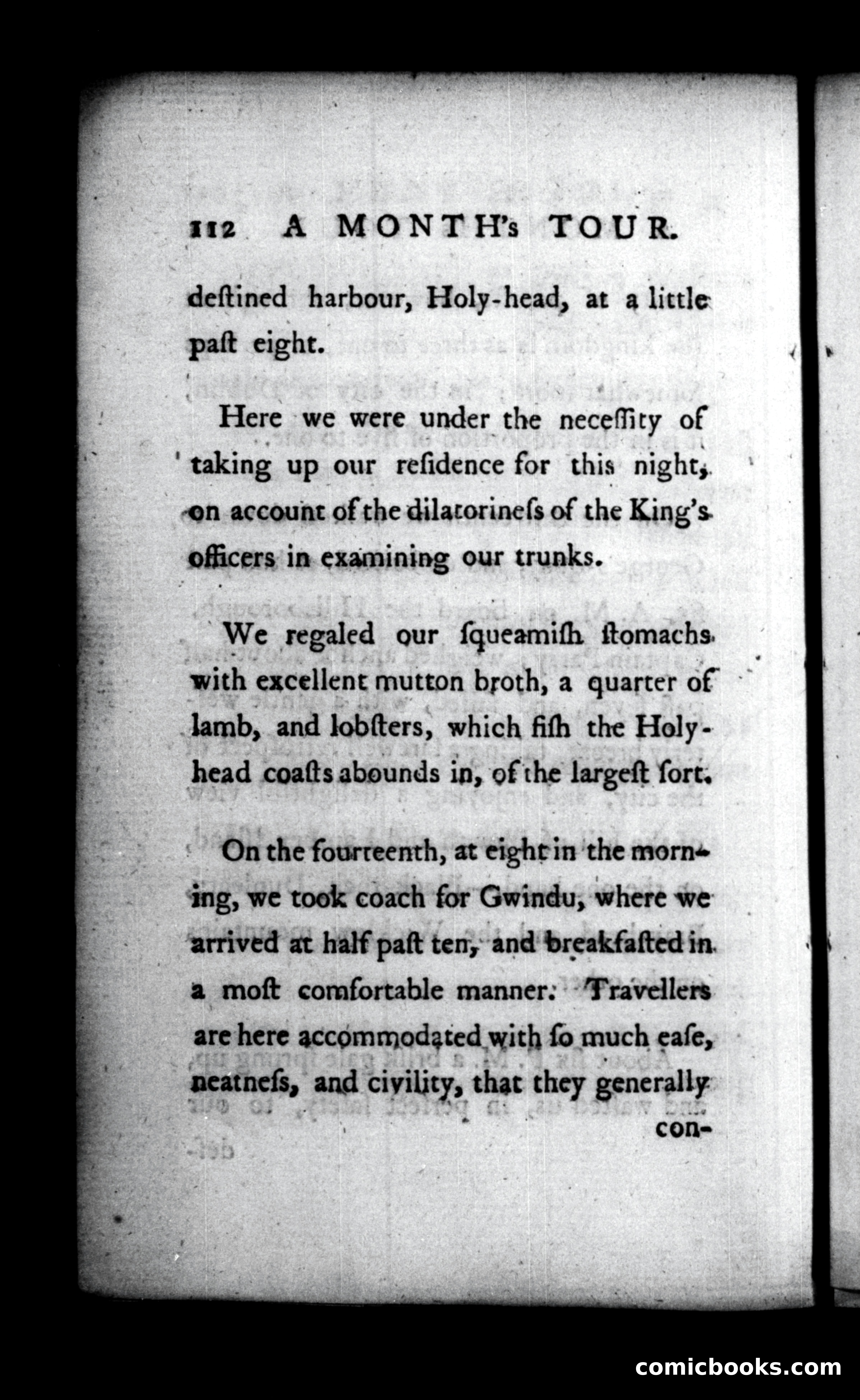 A Month's Tour, &c. — page 112 of 120