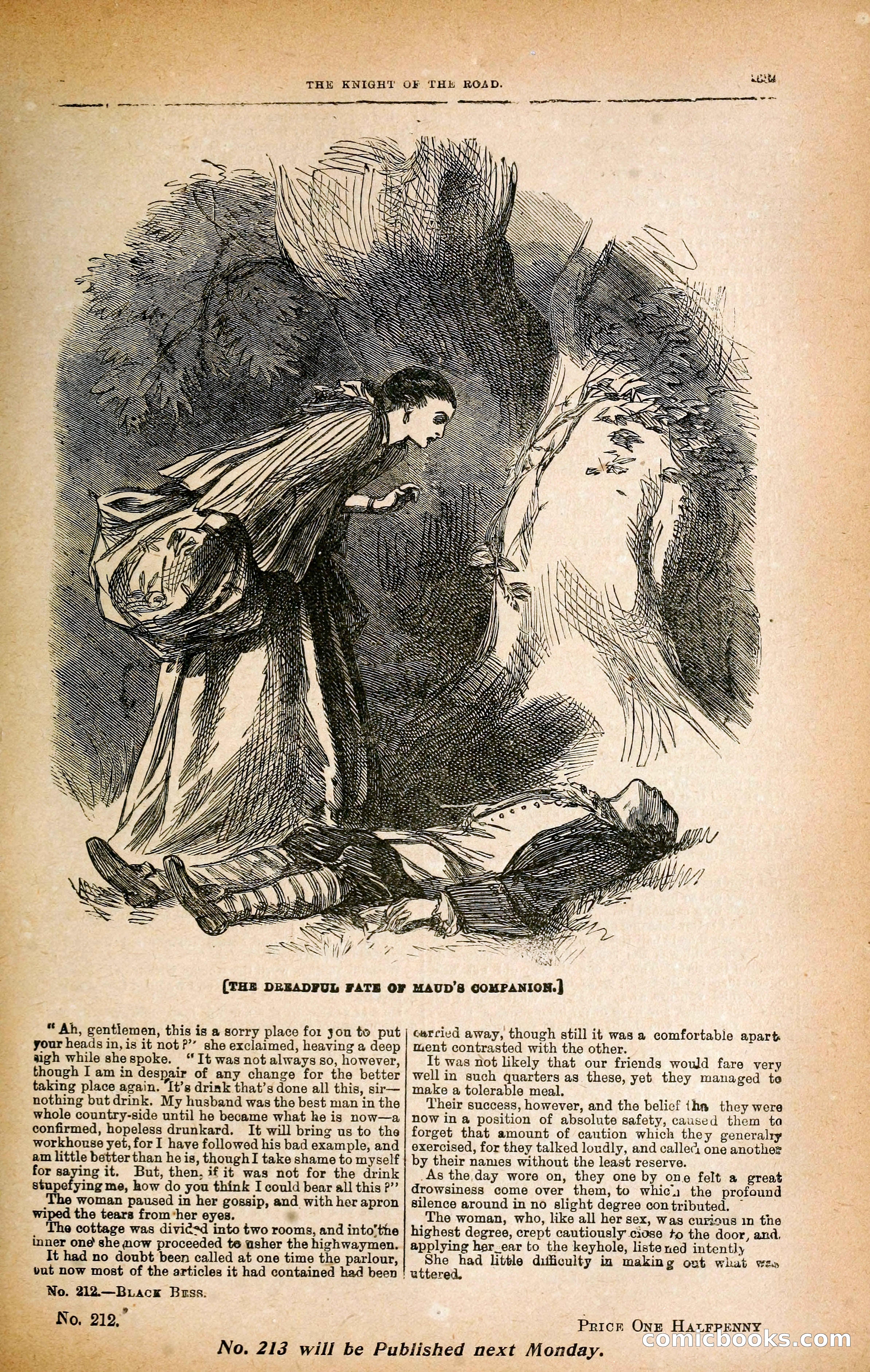 Black Bess; or, the Knight of the Road — page 317: Penny Dreadfuls, 1866