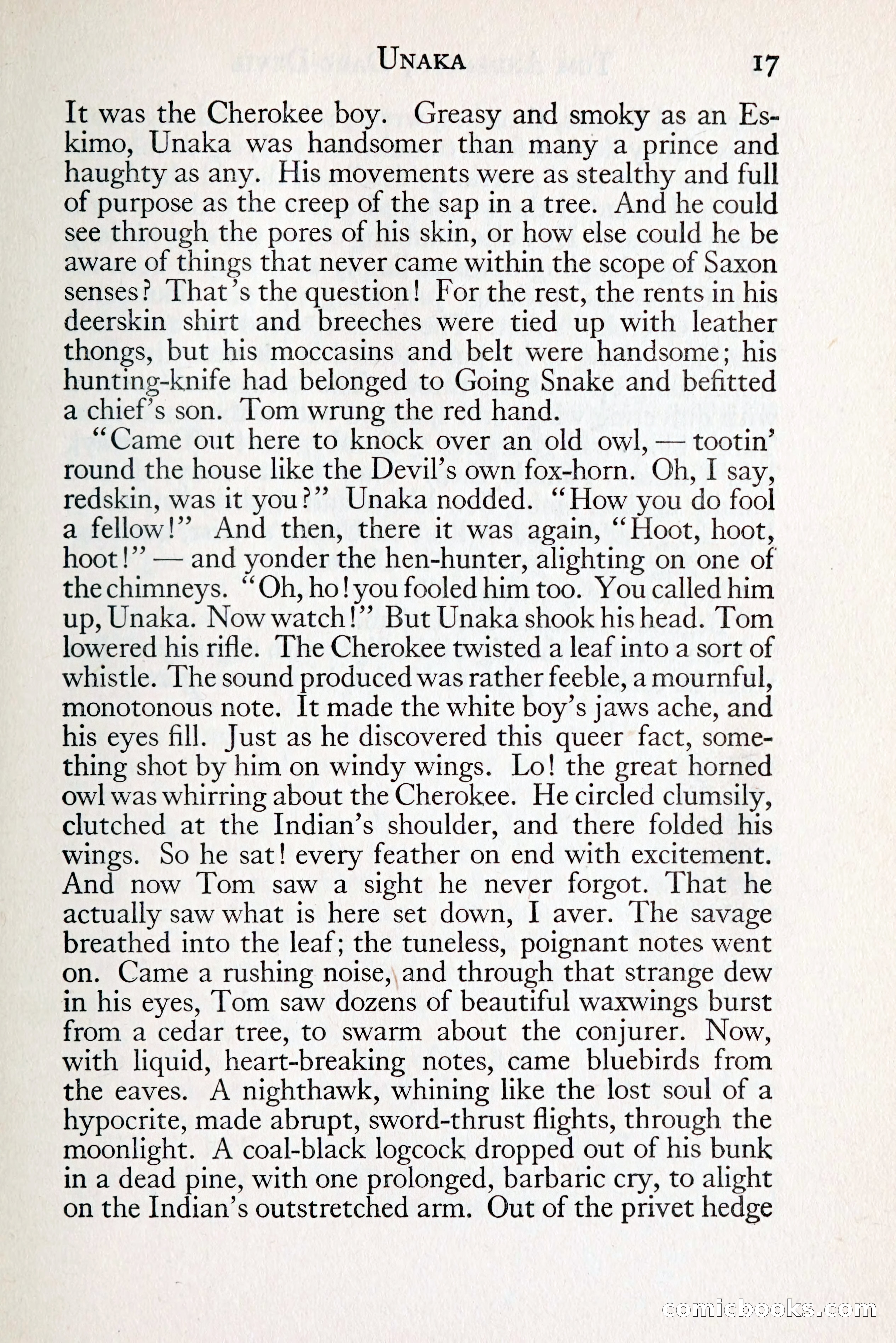 Tom Anderson, Dare-Devil: A Young Virginian in the Revolution — page 33: Penny Dreadfuls, 1916