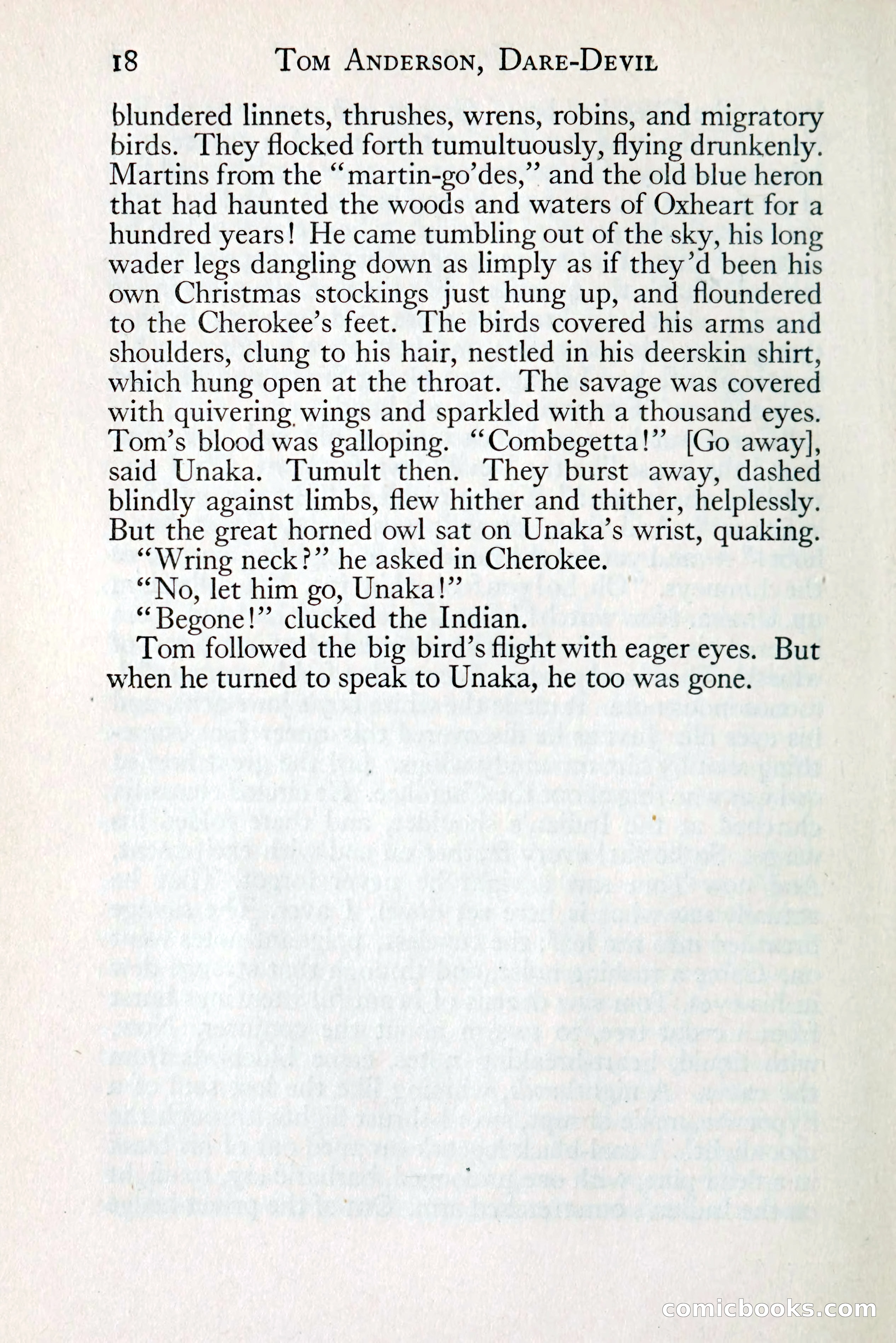 Tom Anderson, Dare-Devil: A Young Virginian in the Revolution — page 34: Penny Dreadfuls, 1916