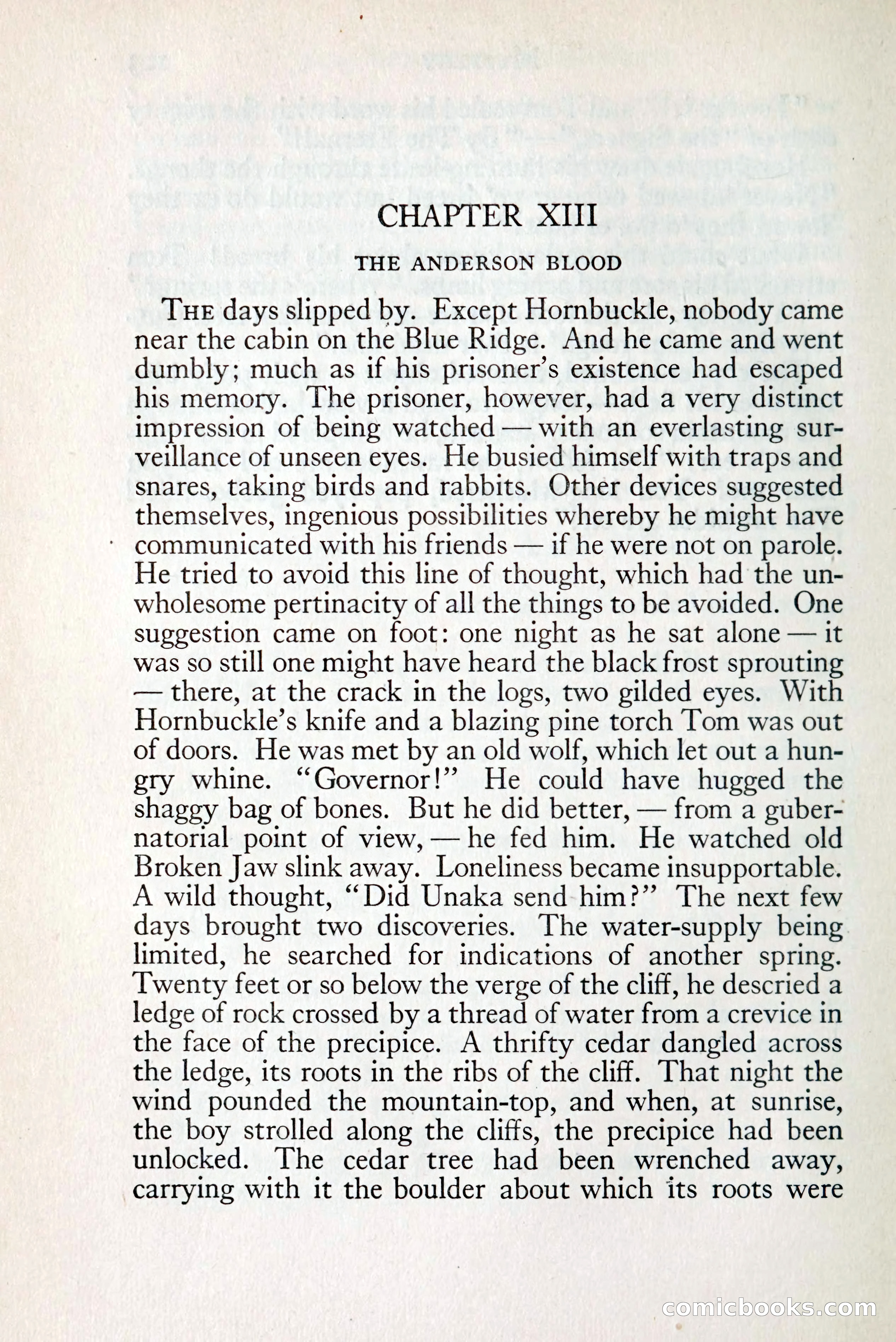 Tom Anderson, Dare-Devil: A Young Virginian in the Revolution — page 120: Penny Dreadfuls, 1916