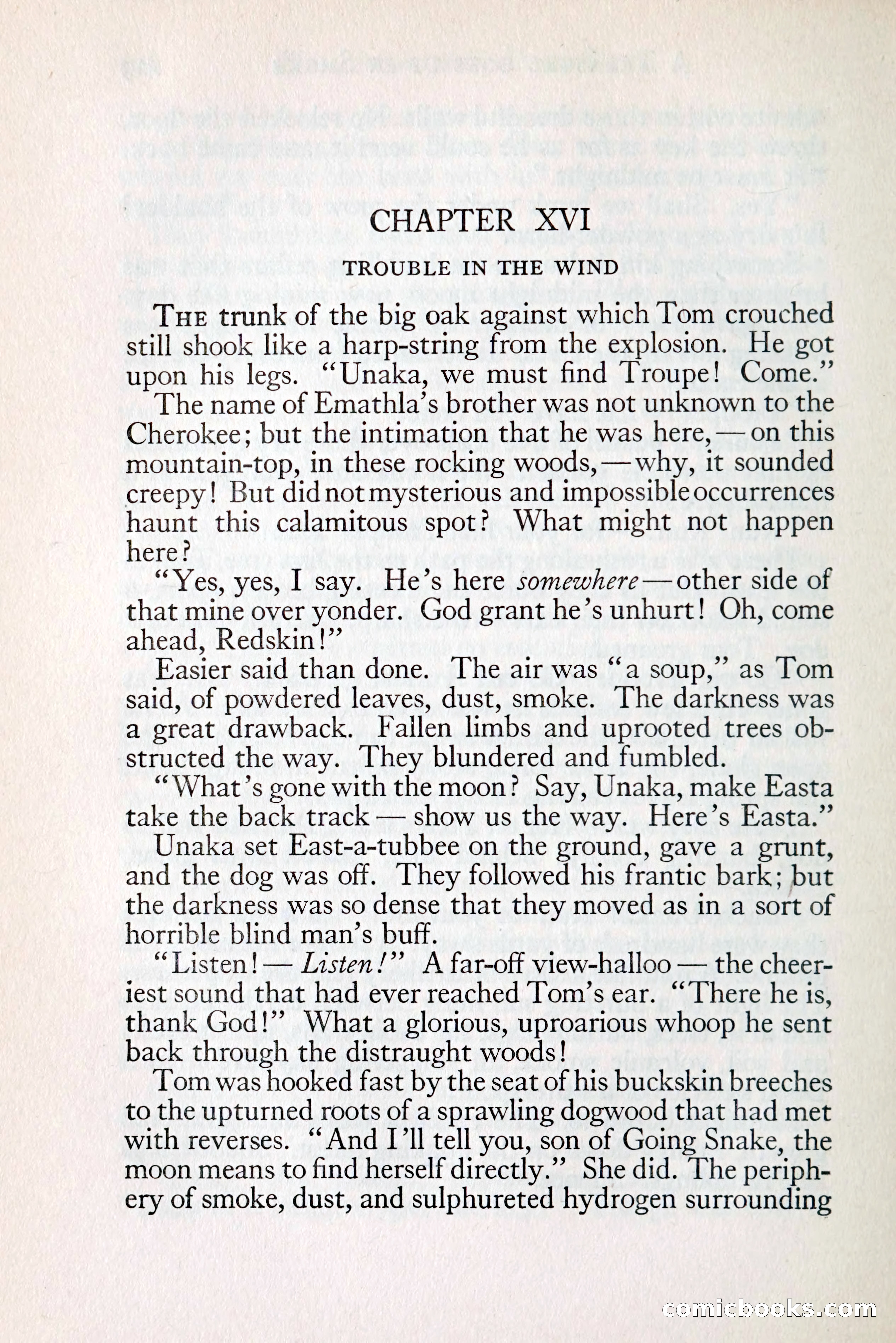 Tom Anderson, Dare-Devil: A Young Virginian in the Revolution — page 146 of 400