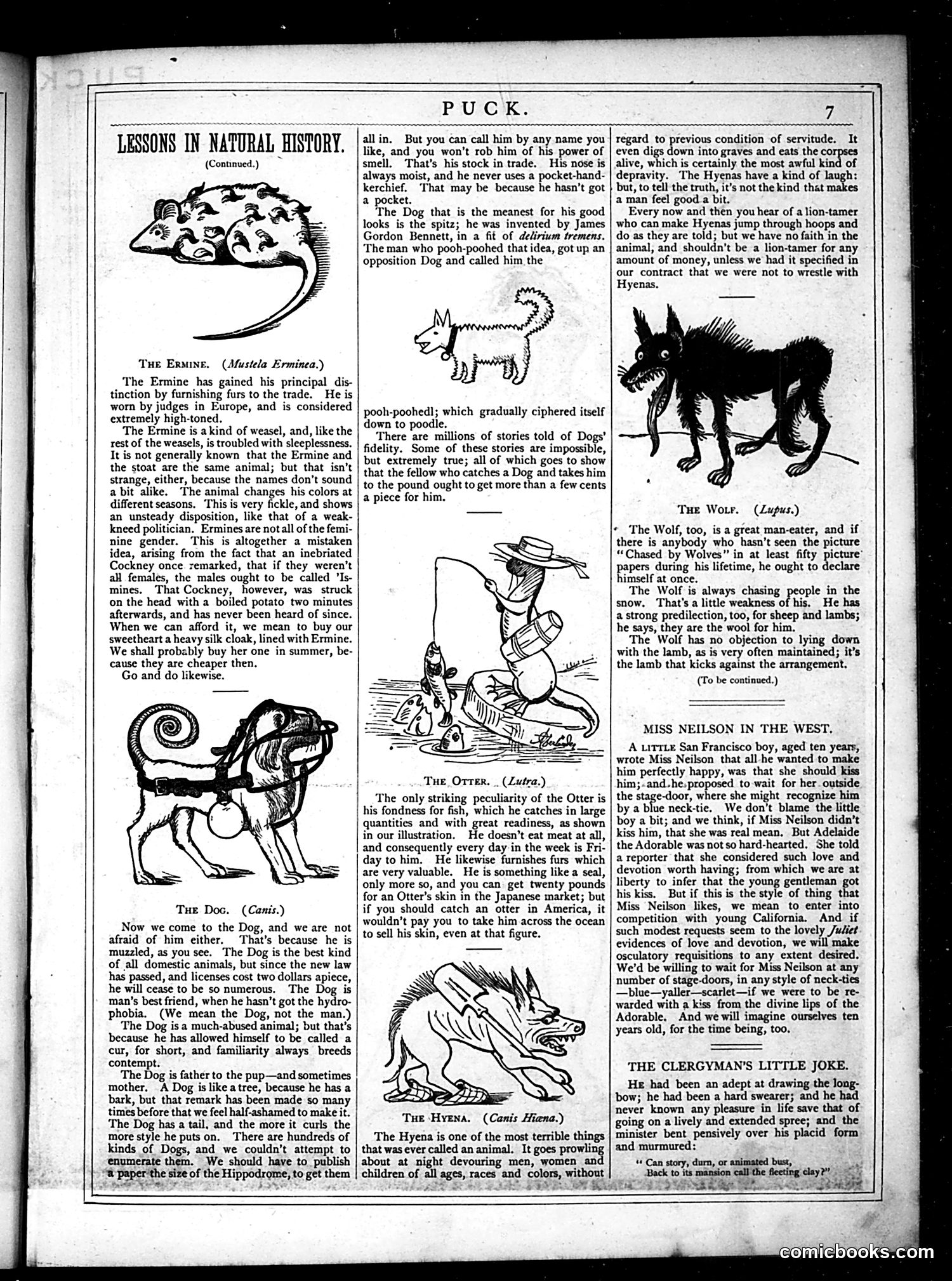 Puck — May 1877 — page 7