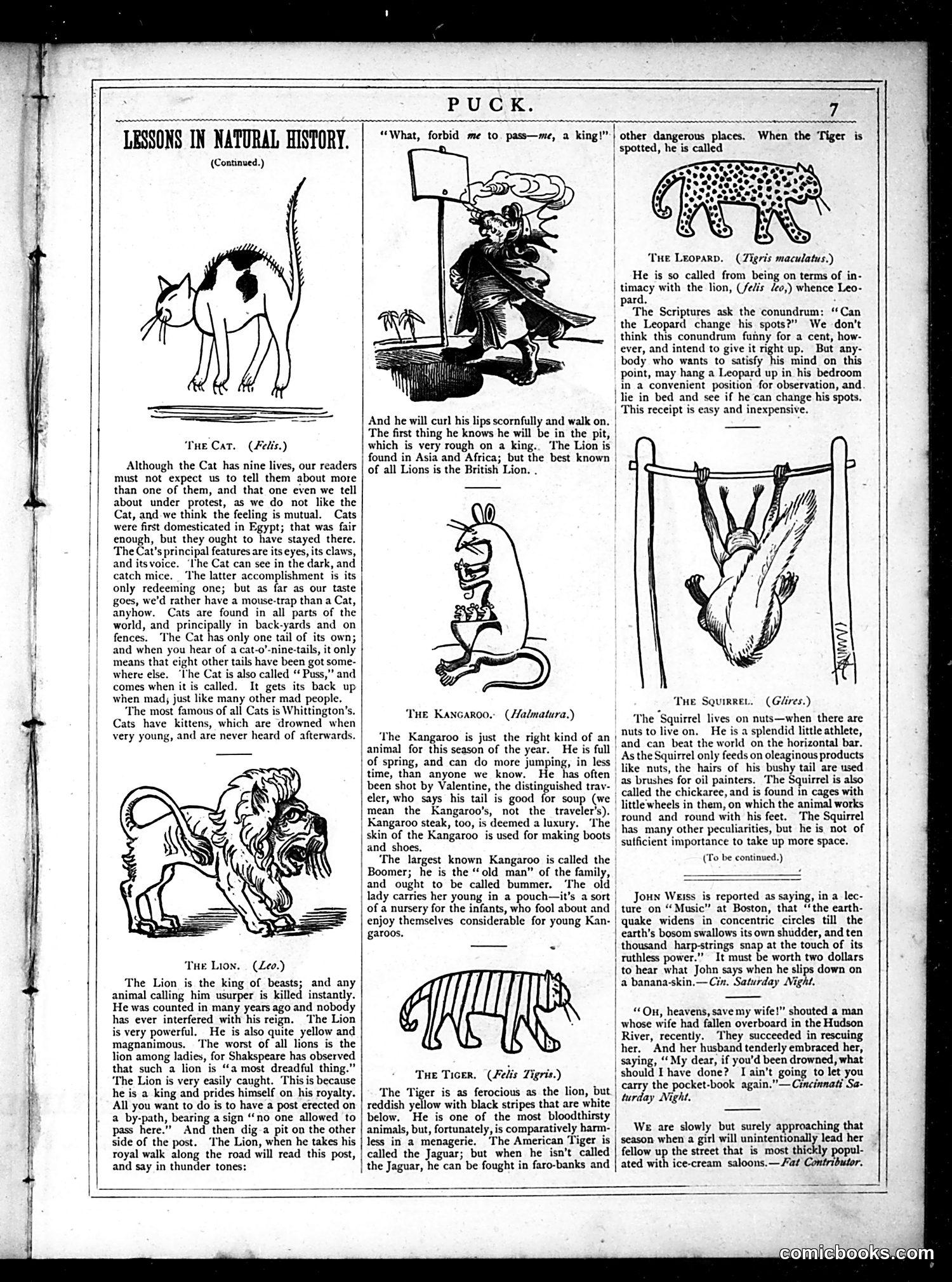 Puck — May 1877 — page 7