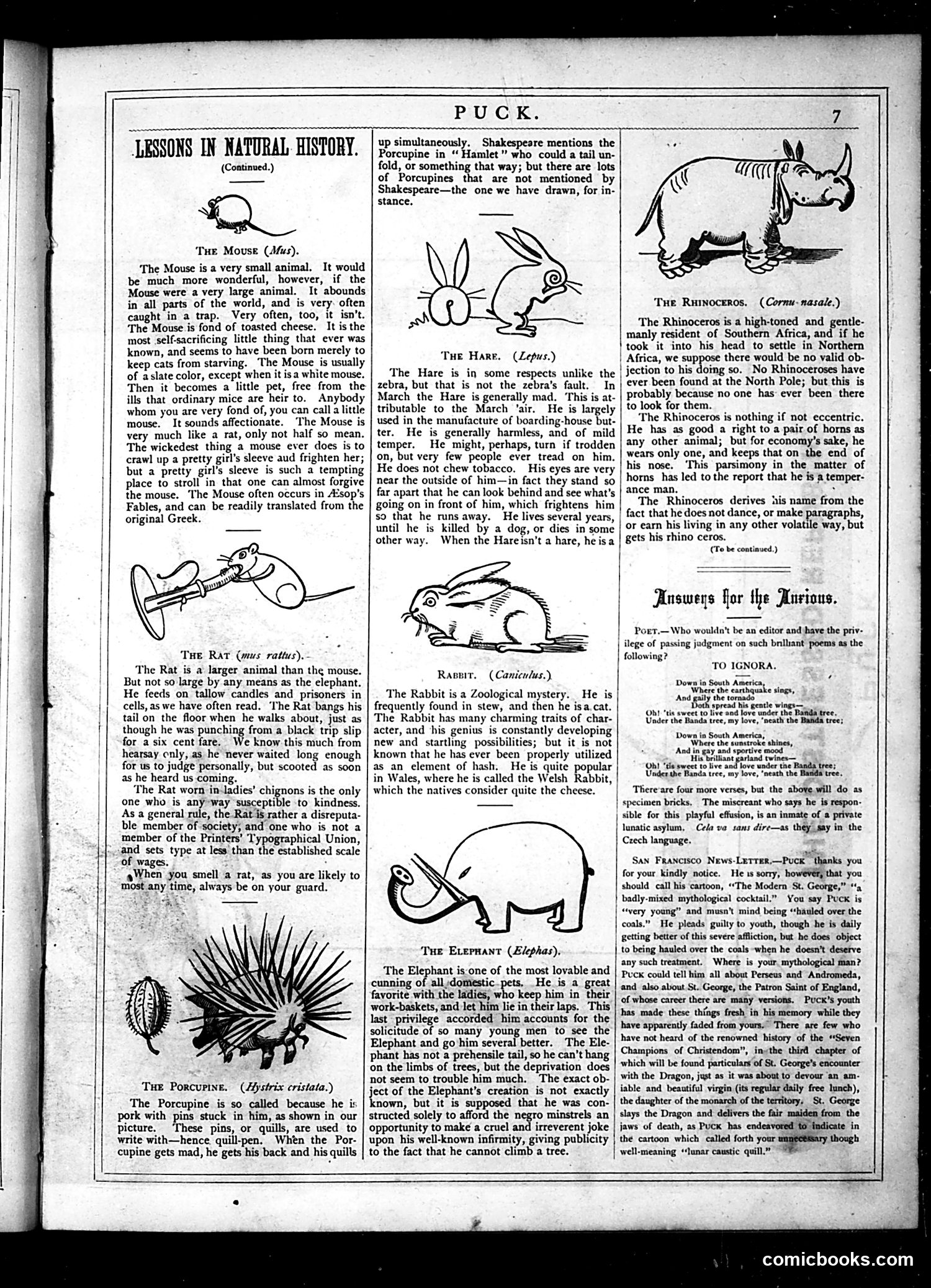 Puck — May 1877 — page 7