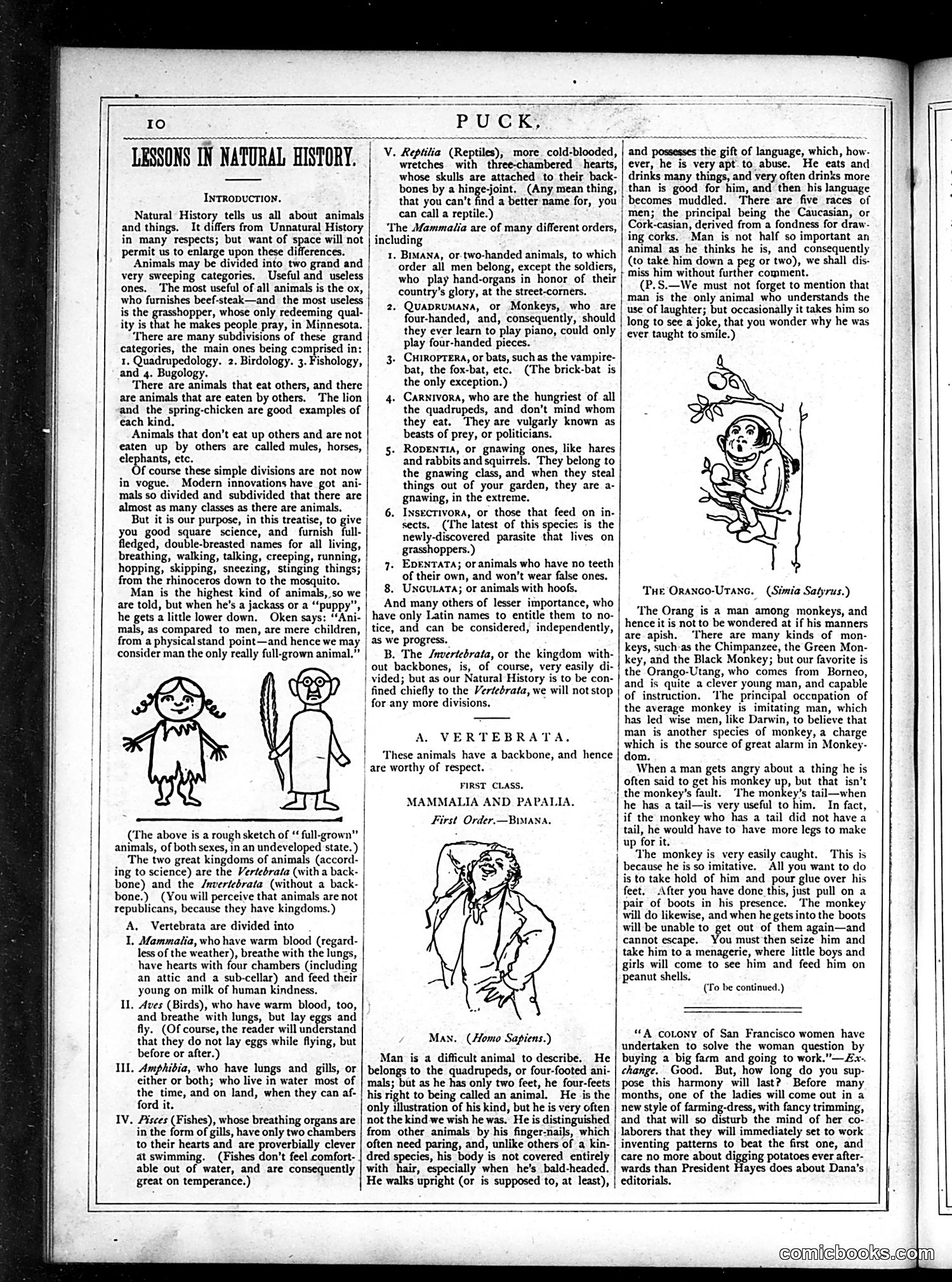Puck — May 1877 — page 10