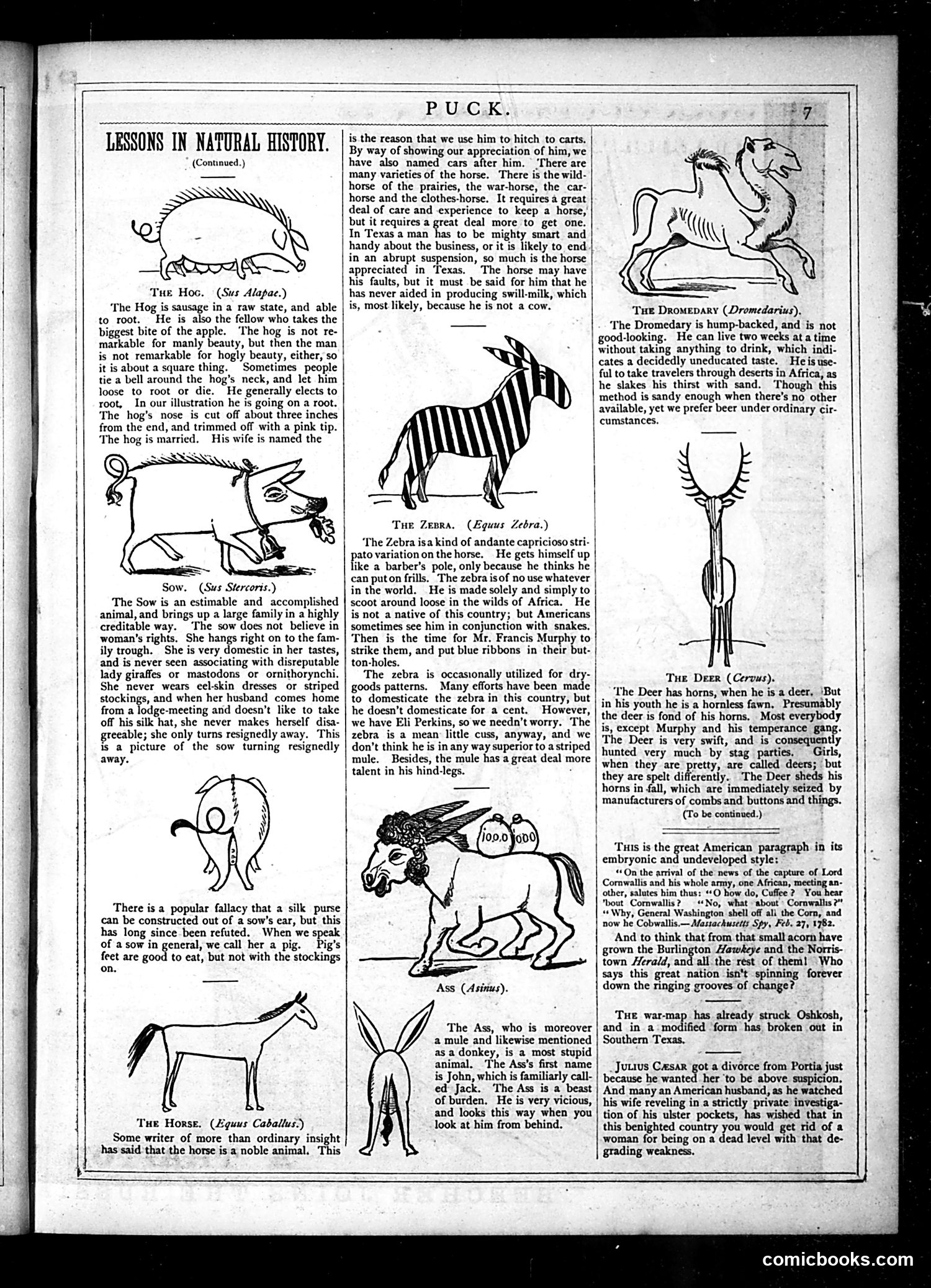 Puck — June 1877 — page 7