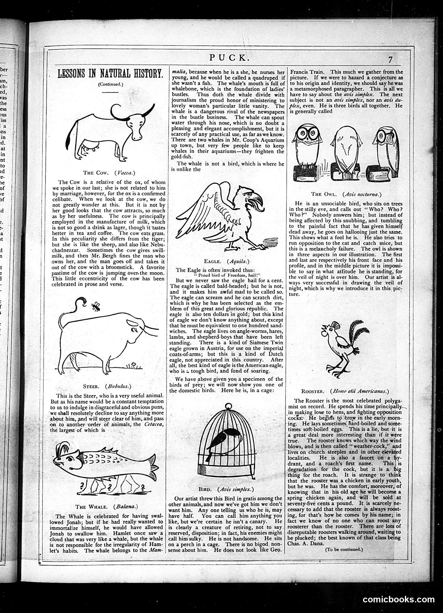 Puck — June 1877 — page 7