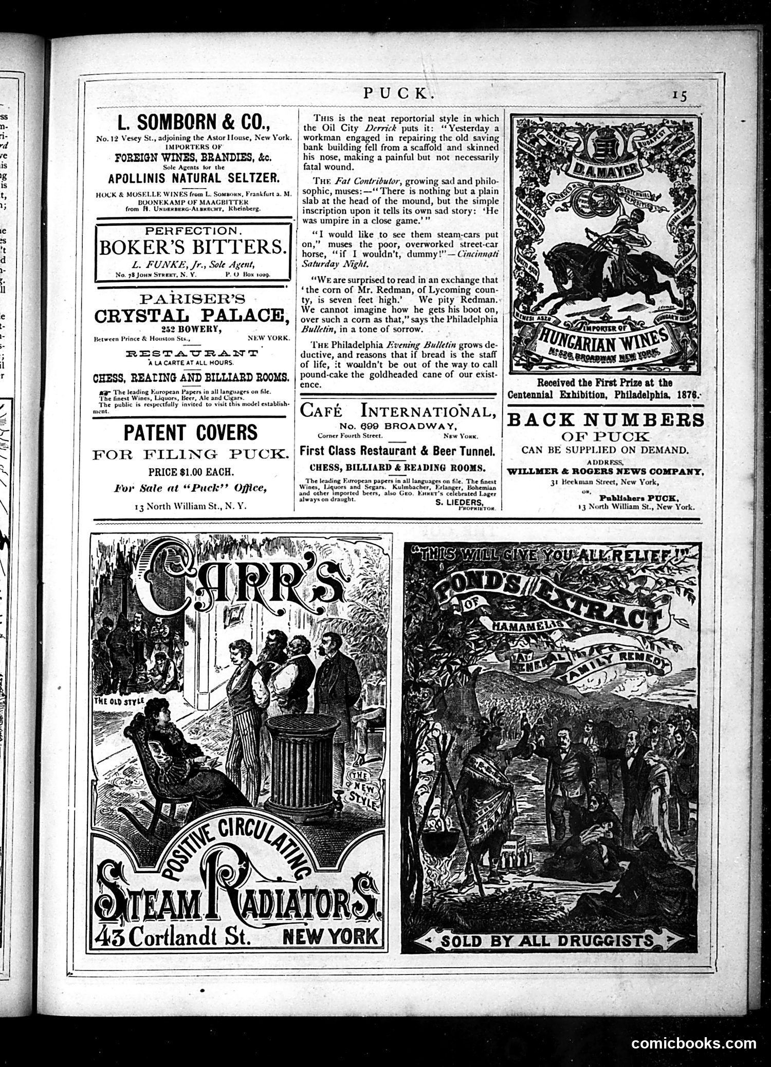 Puck — June 1877 — page 15