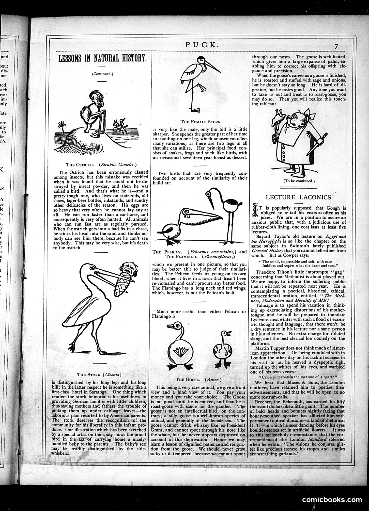 Puck — June 27, 1877 — page 7