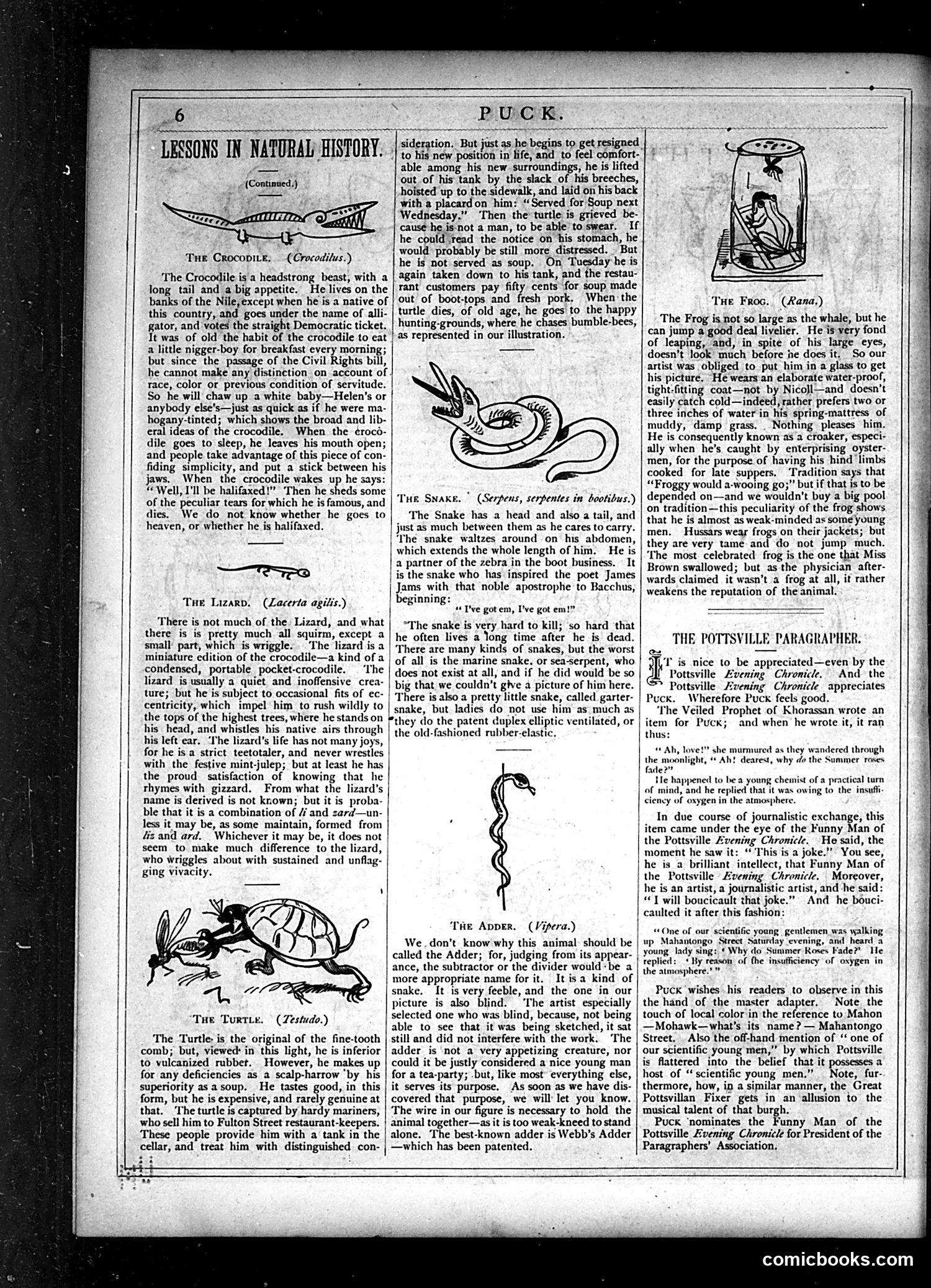 Puck — July 4, 1877 — page 6