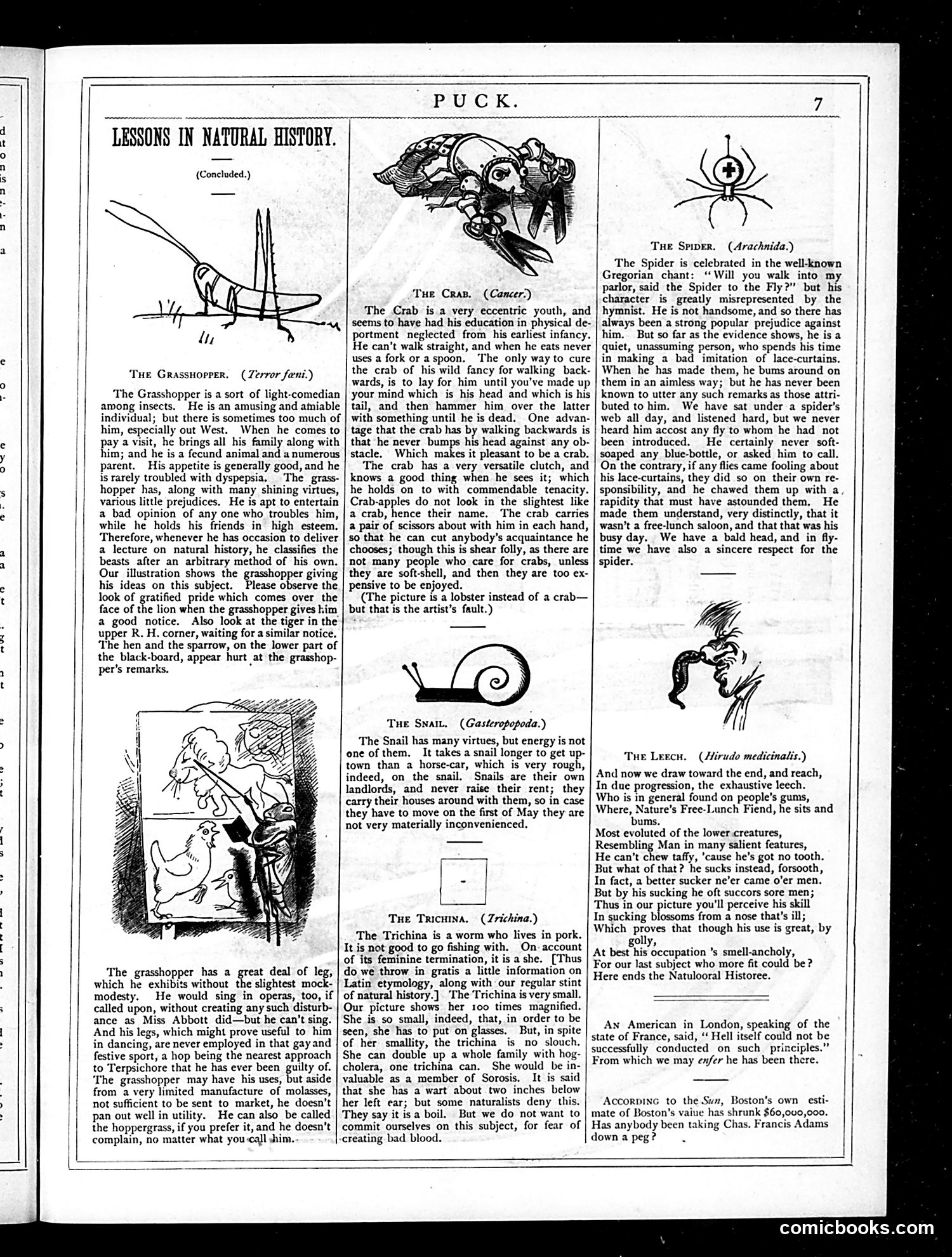 Puck — July 11, 1877 — page 11