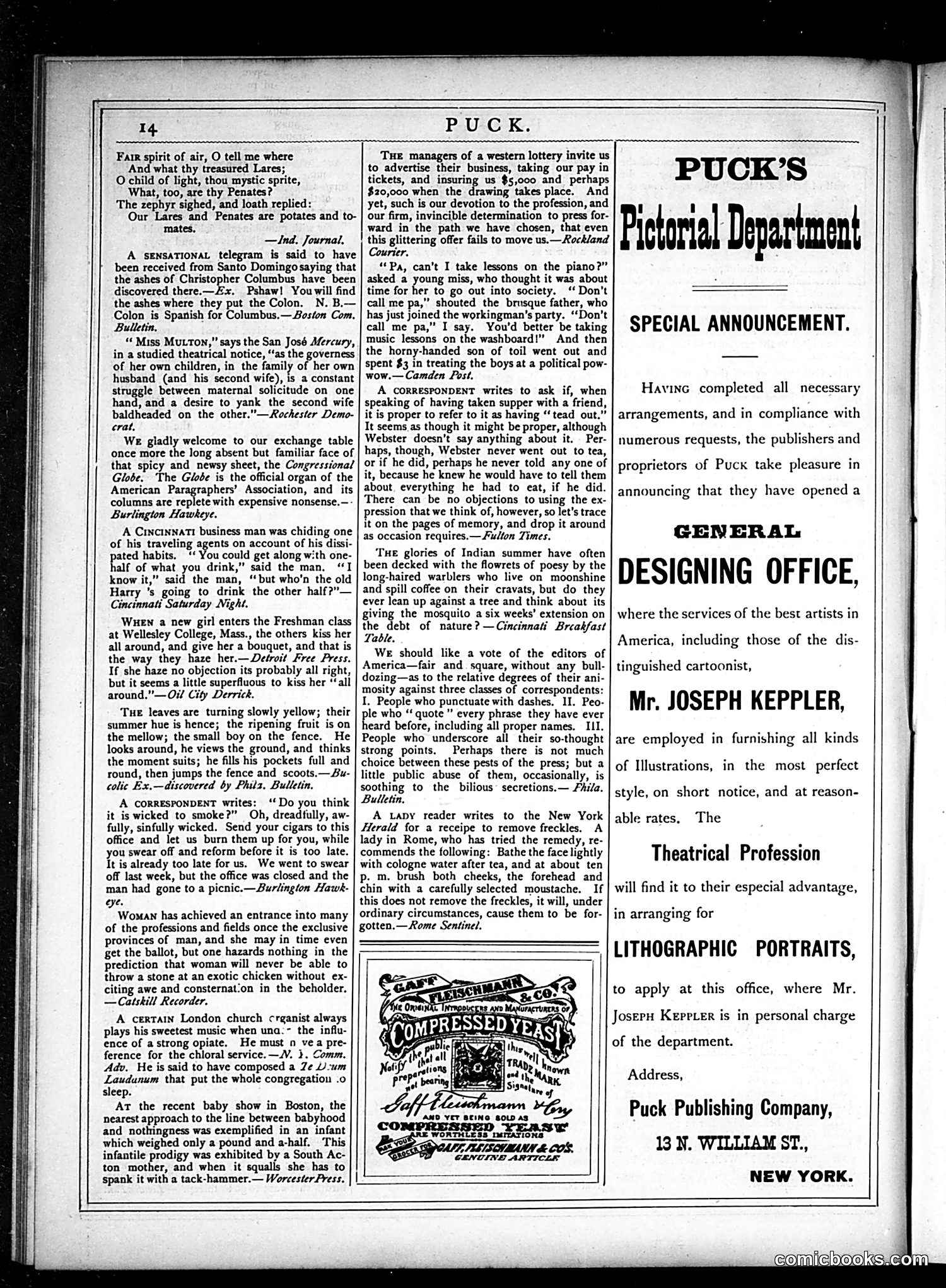 Puck — November 14, 1877 — page 14