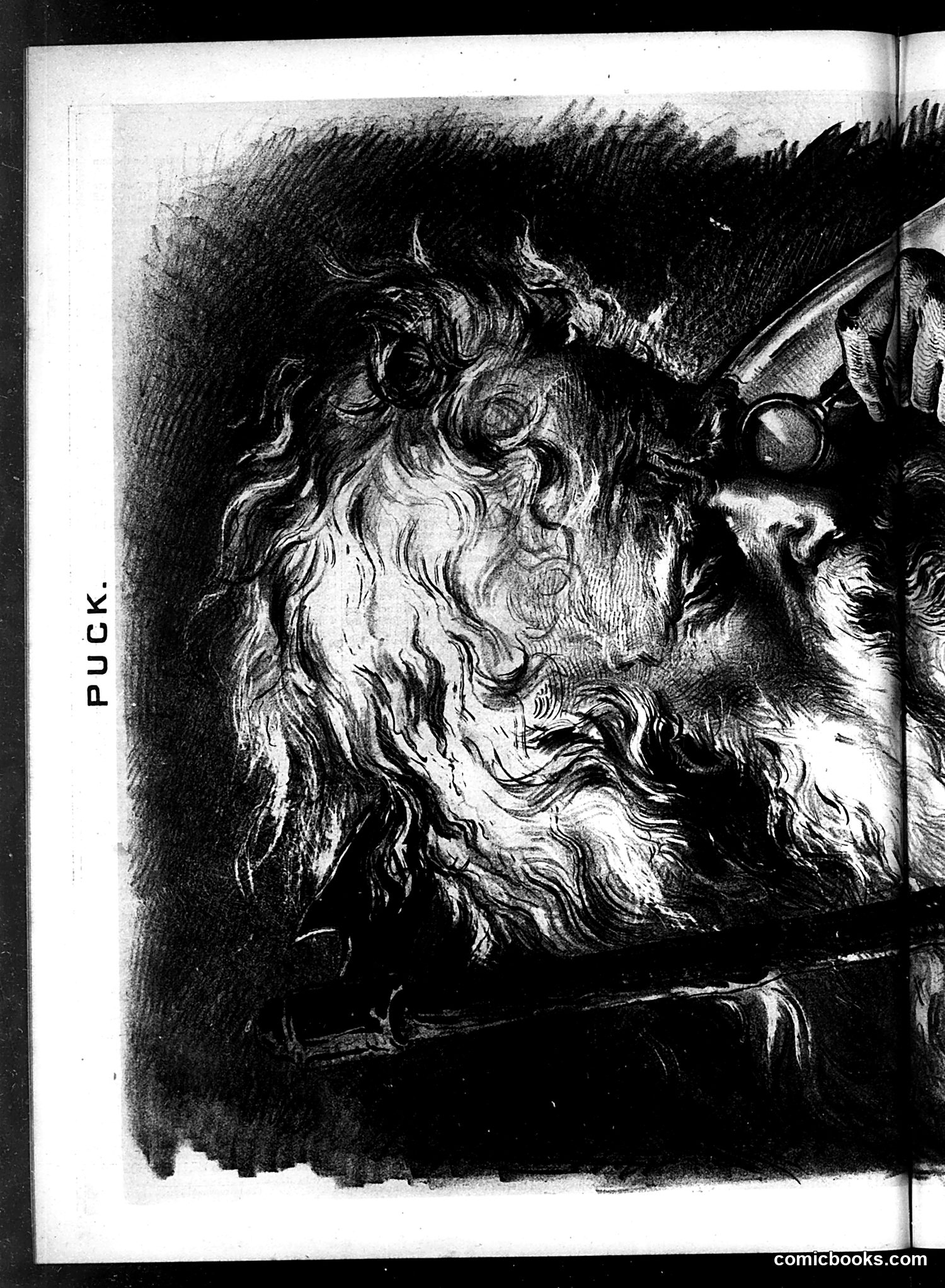 Puck — December 26, 1877 — page 8