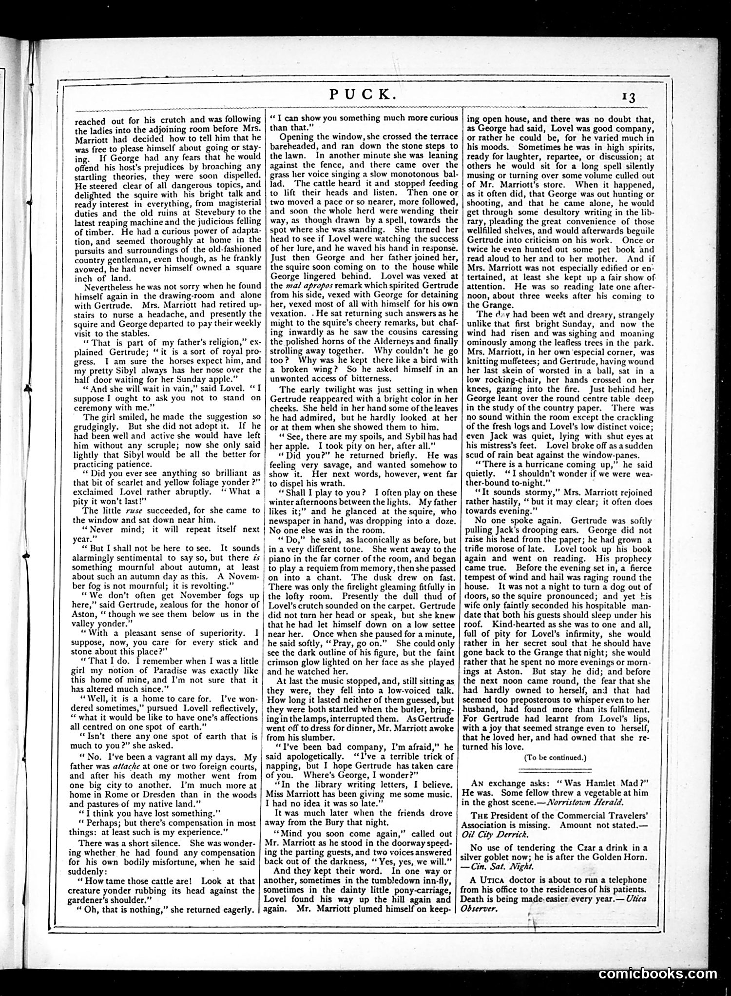 Puck — February 27, 1878 — page 17