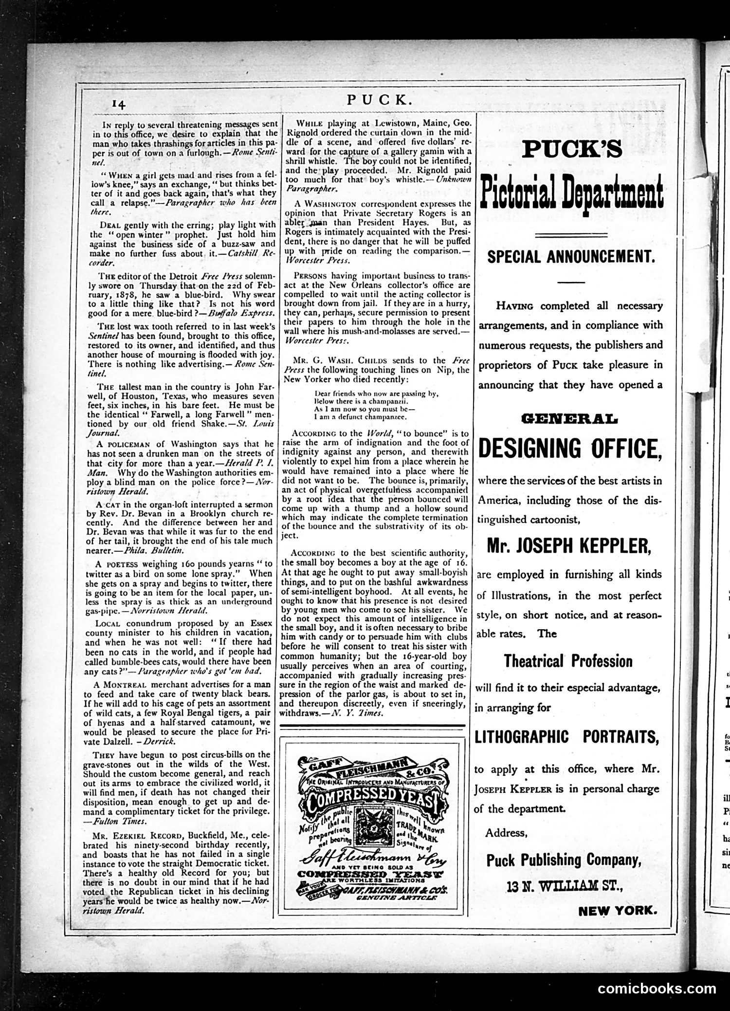 Puck — March 13, 1878 — page 18