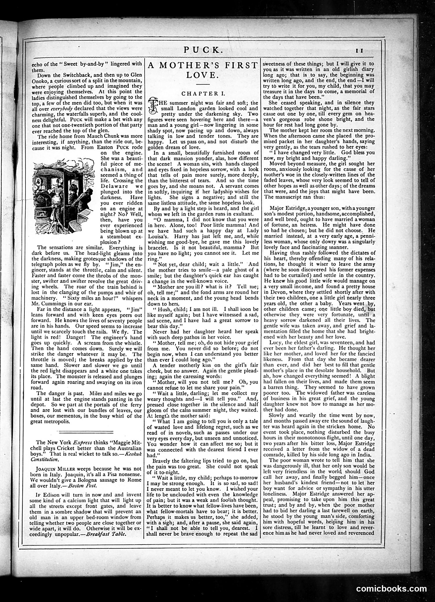 Puck — October 30, 1878 — page 11