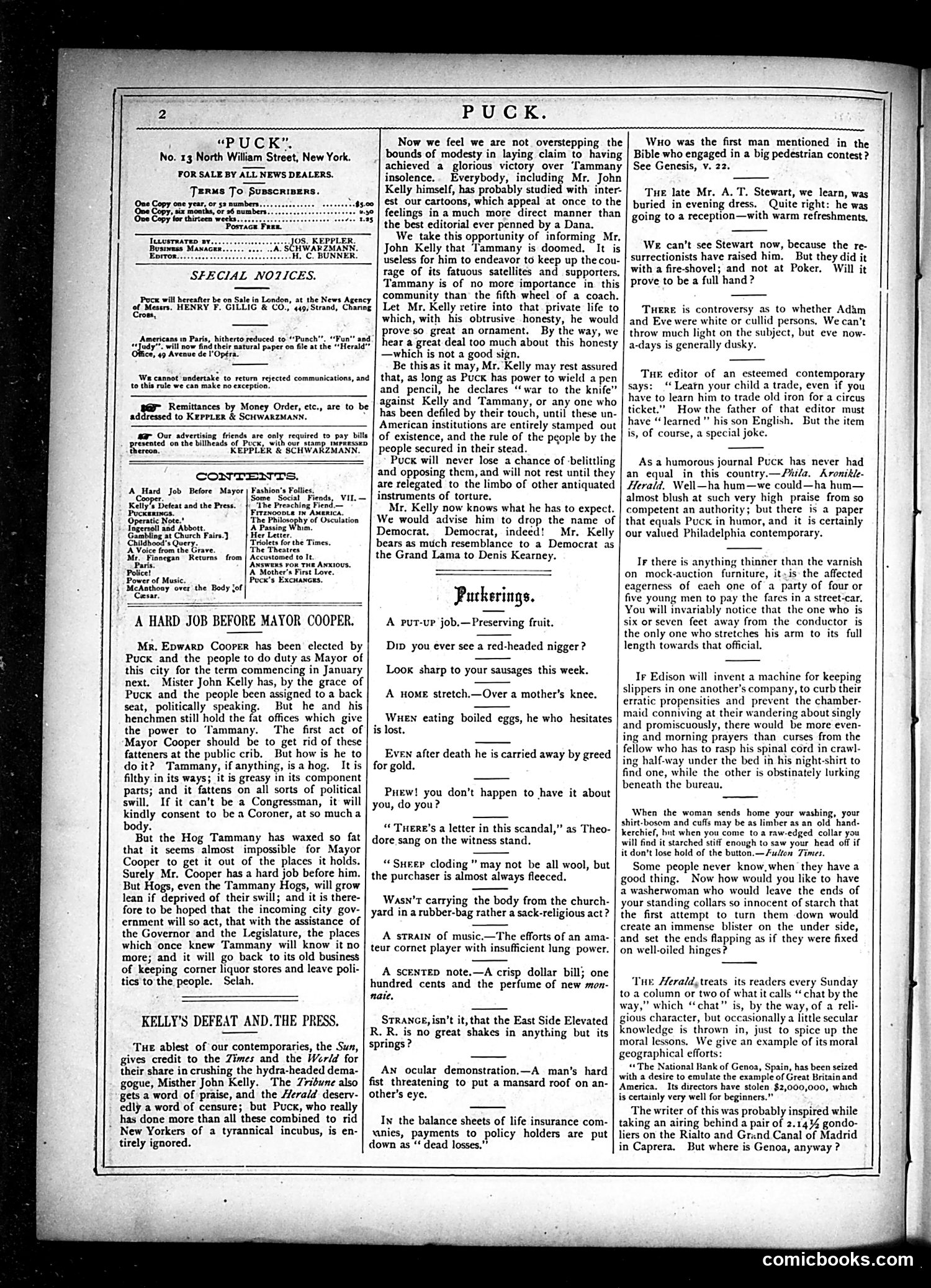 Puck — November 13, 1878 — page 2