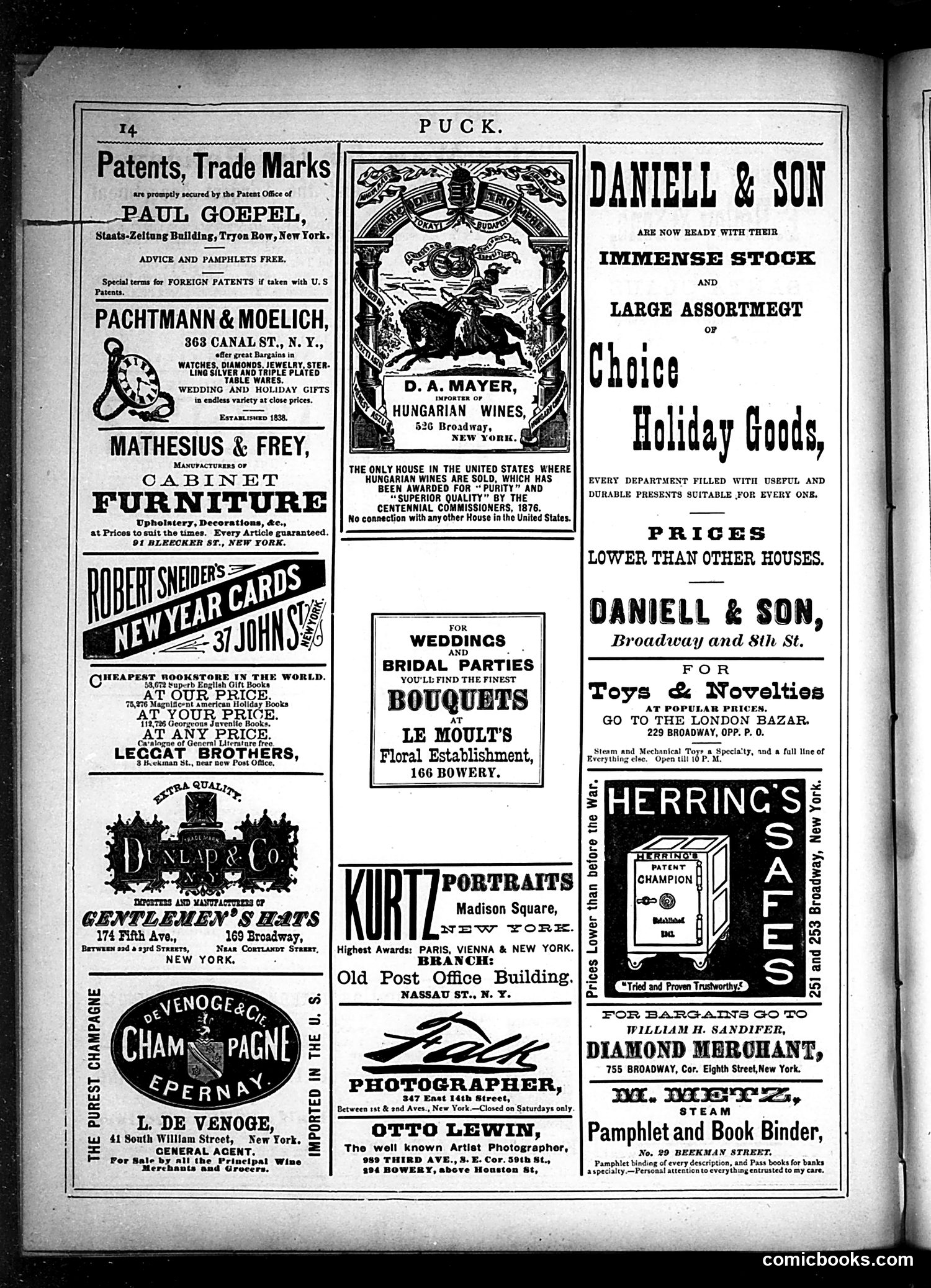 Puck — December 18, 1878 — page 14