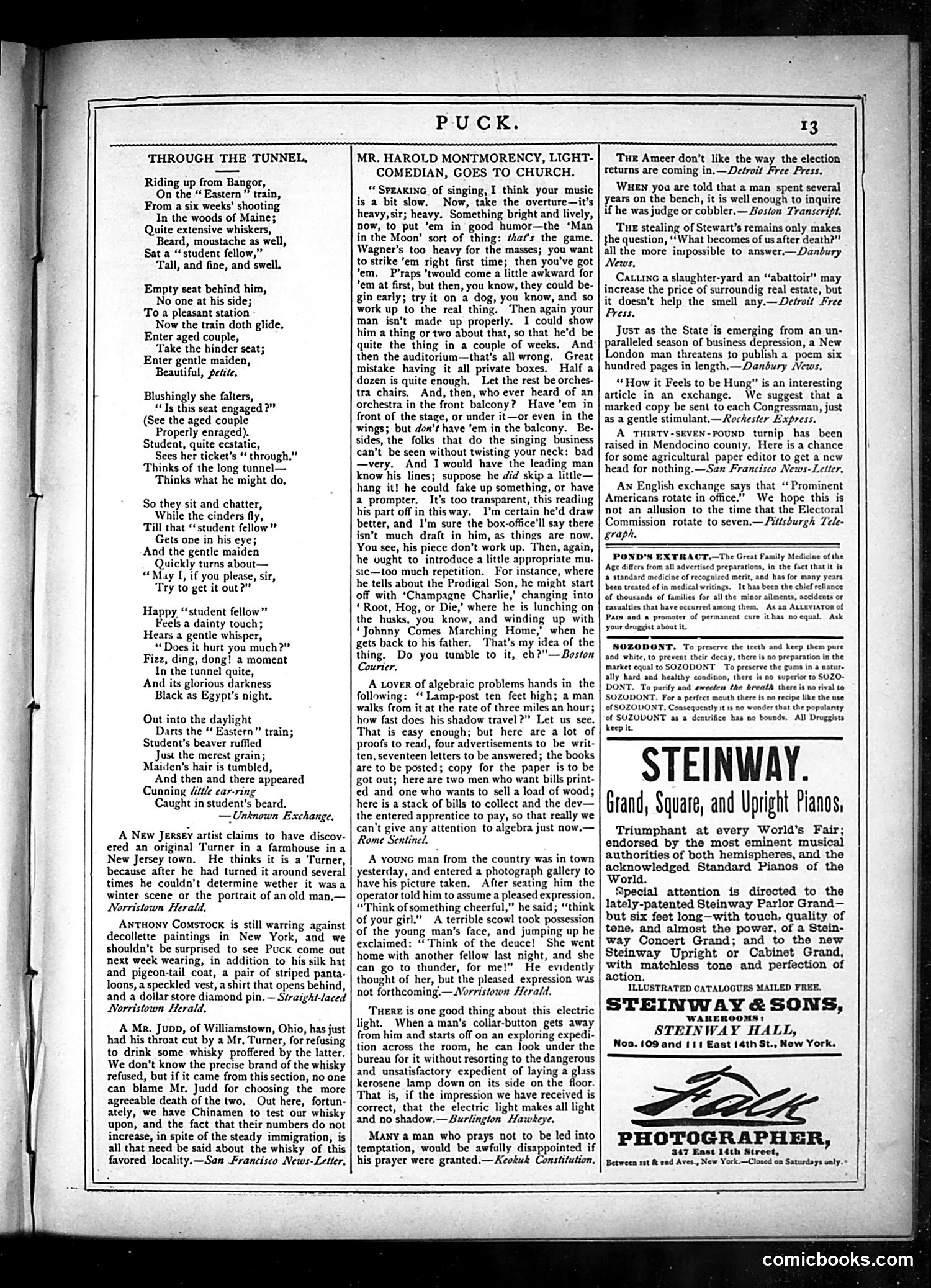 Puck — December 25, 1878 — page 13