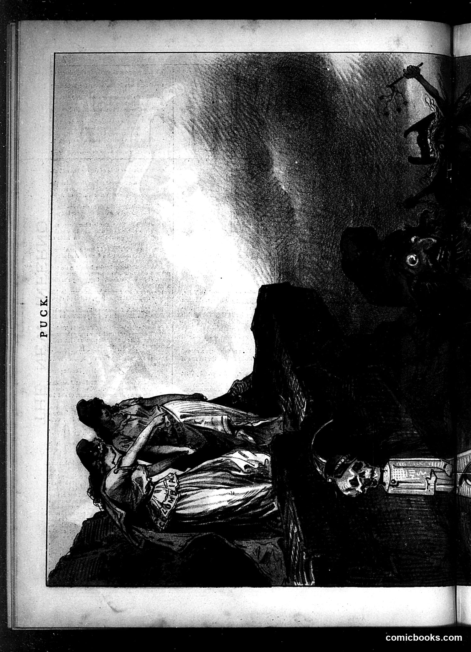 Puck — January 15, 1879 — page 8