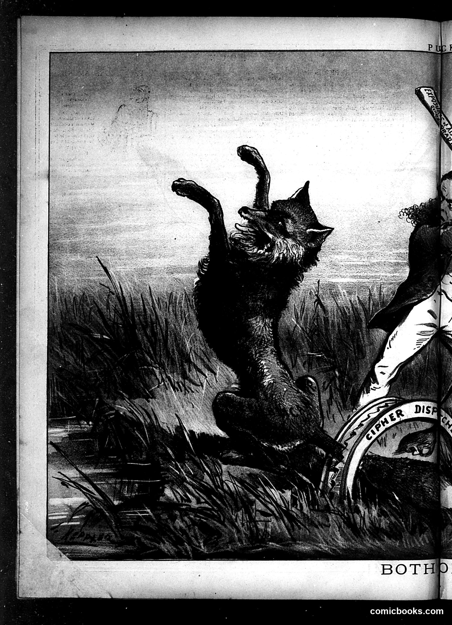 Puck — February 5, 1879 — page 8