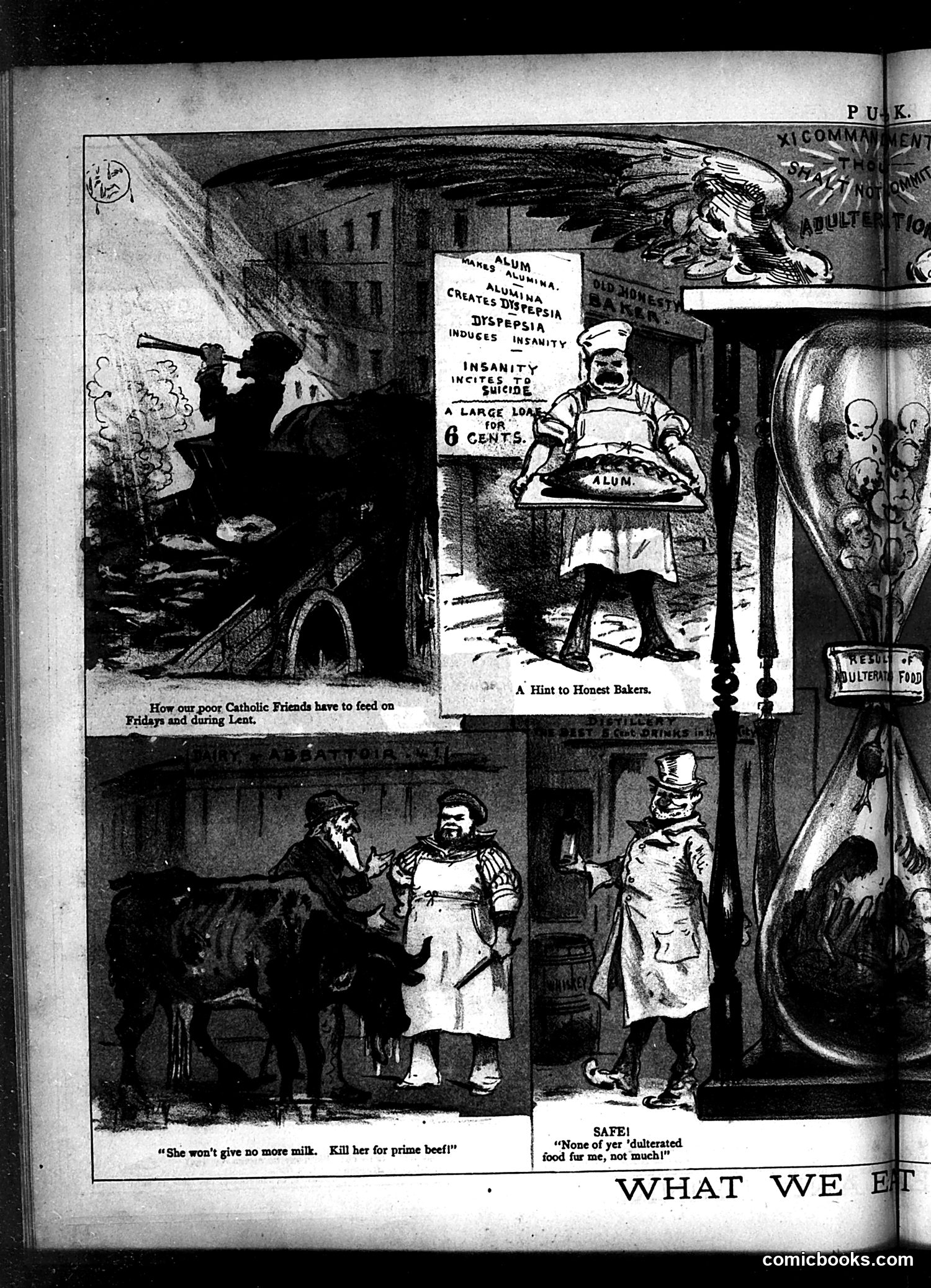 Puck — February 19, 1879 — page 8