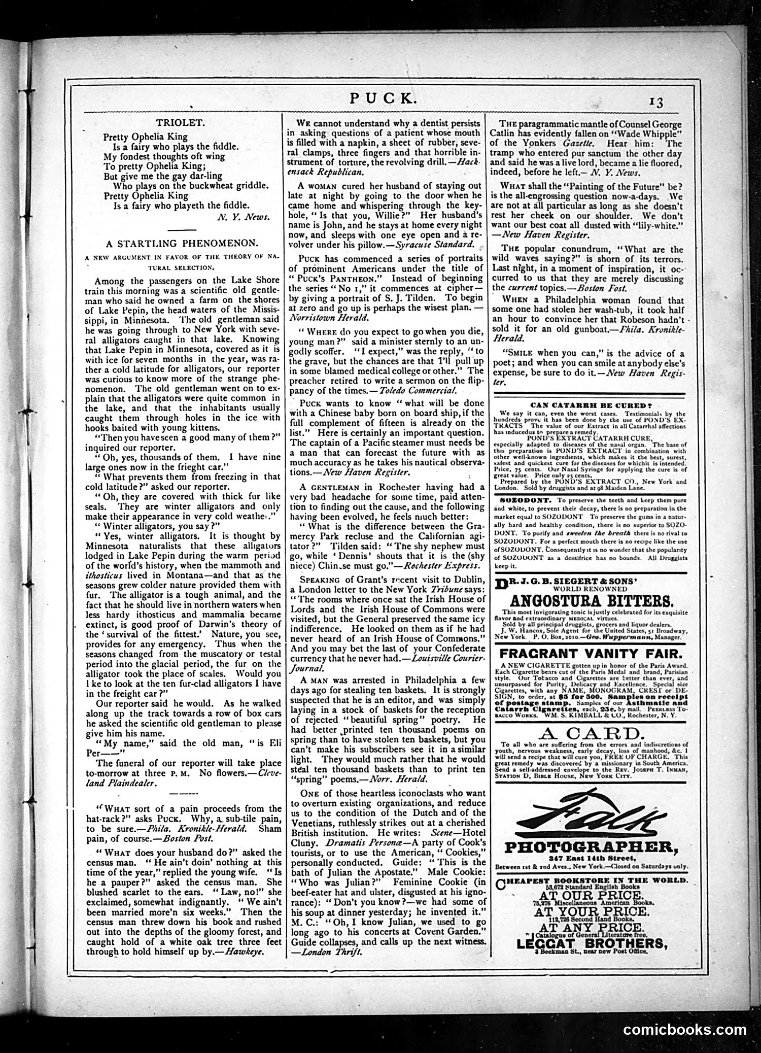 Puck — March 5, 1879 — page 15