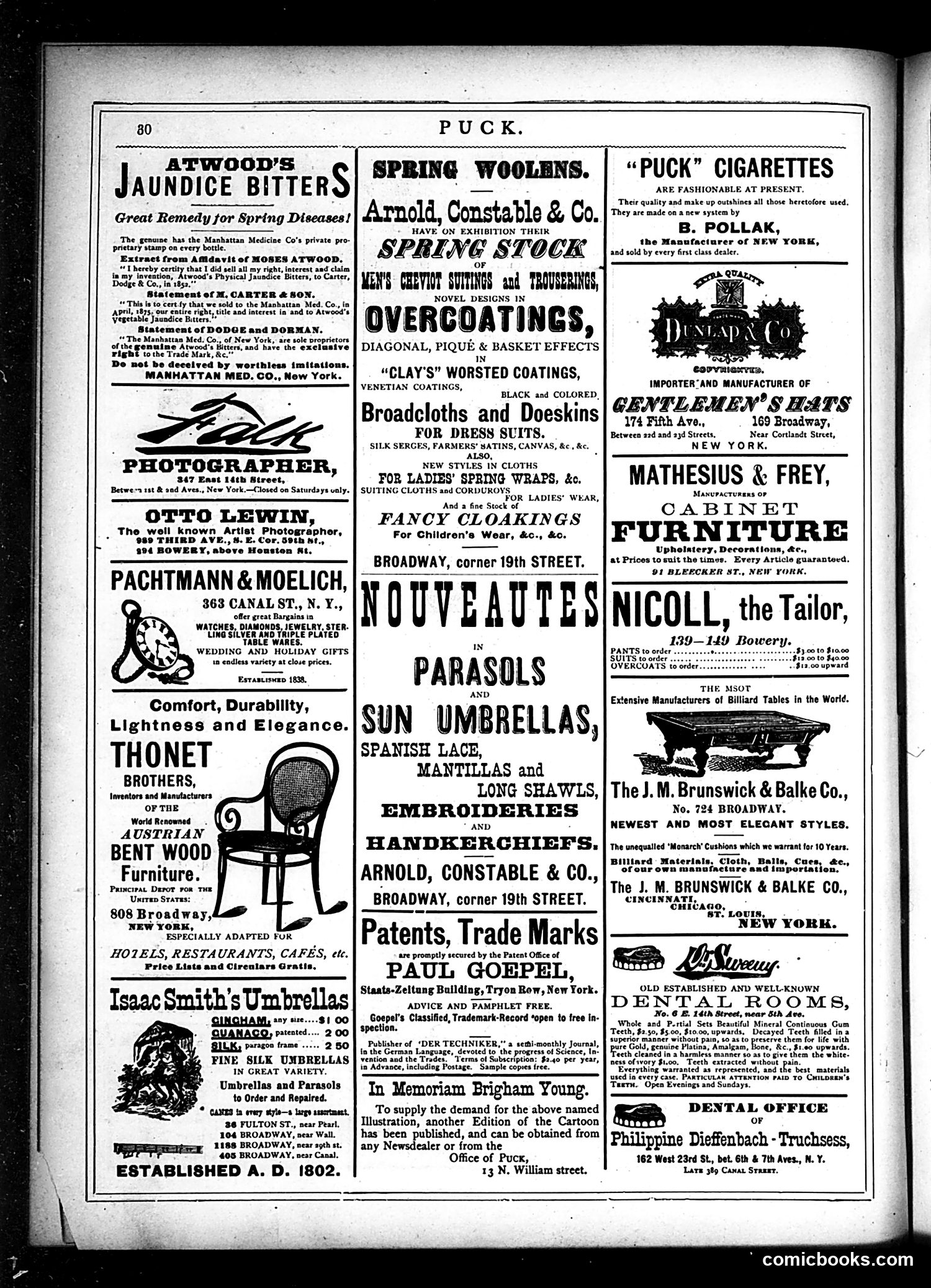 Puck — March 19, 1879 — page 14
