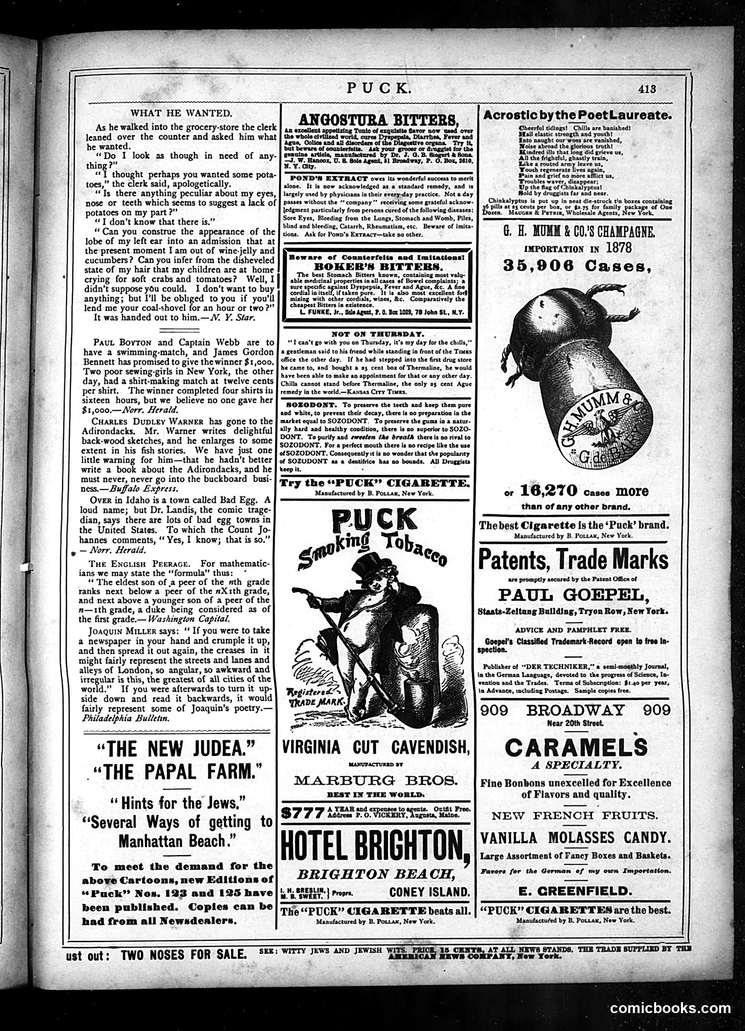 Puck — September 3, 1879 — page 13