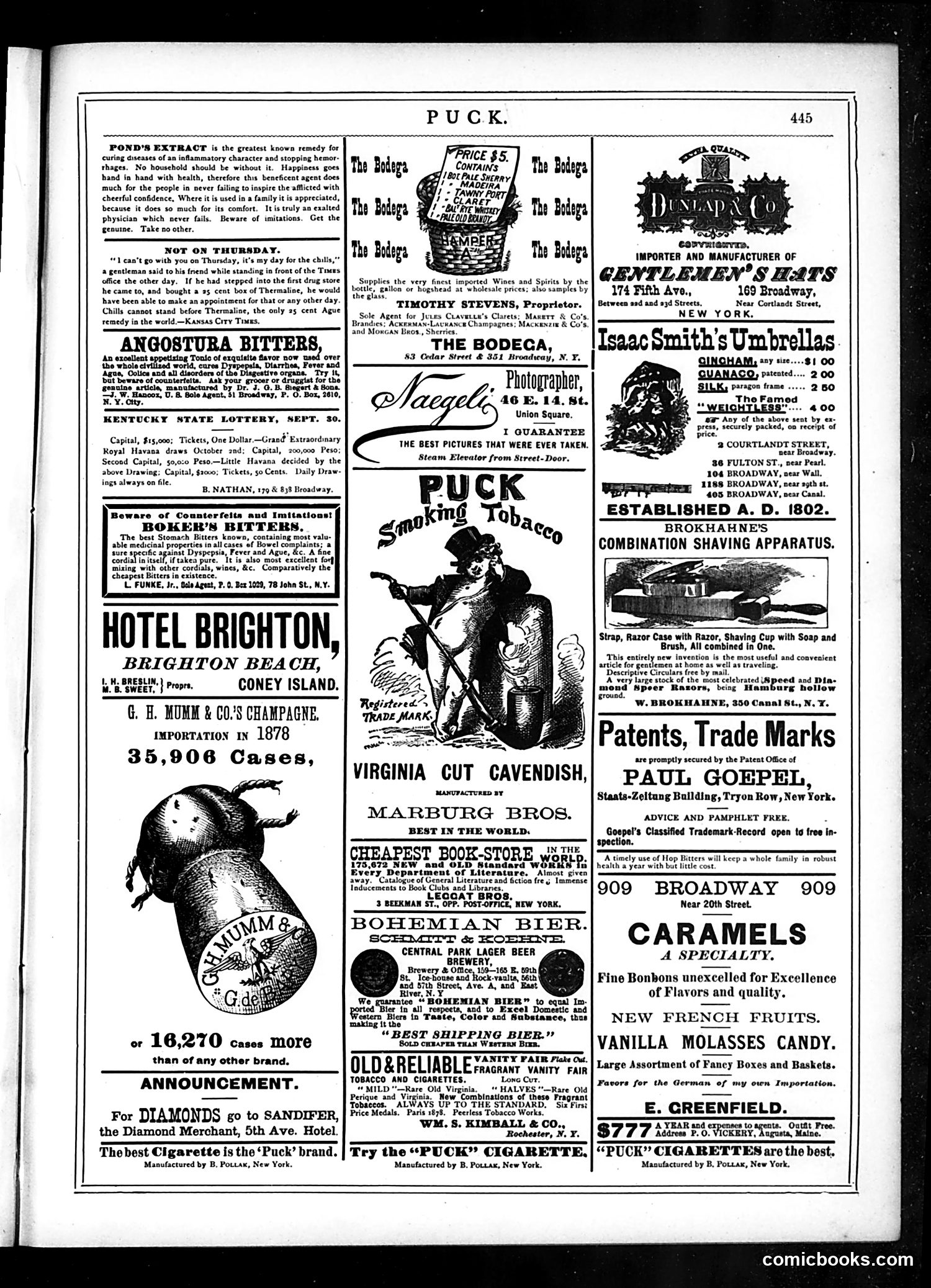 Puck — September 17, 1879 — page 13