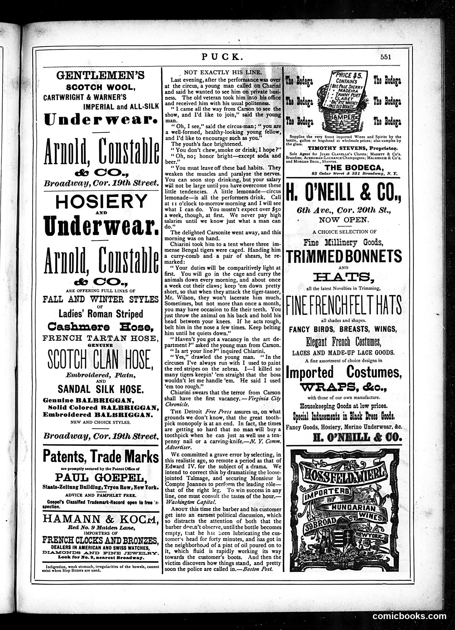 Puck — October 29, 1879 — page 17