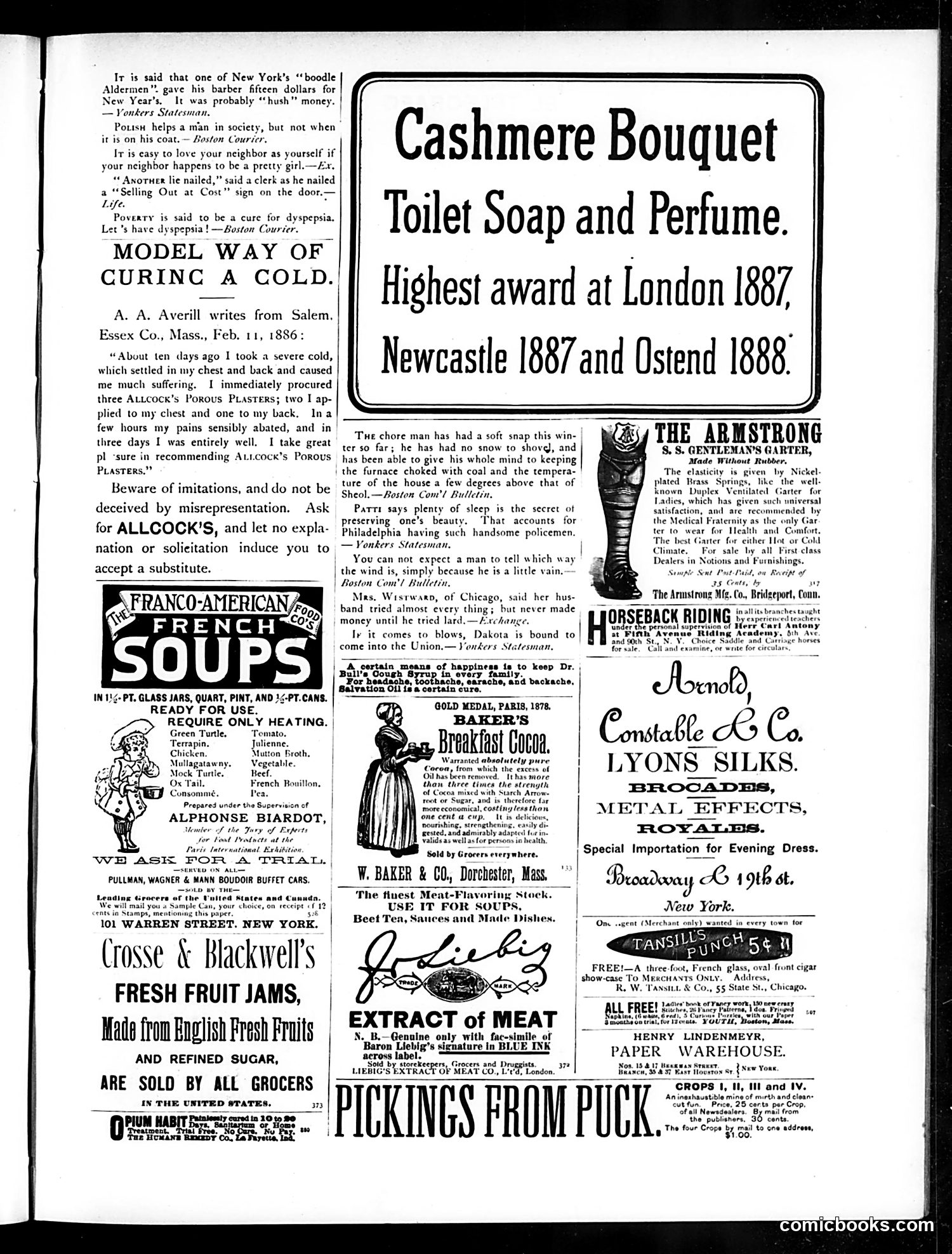 Puck — January 23, 1889 — page 13