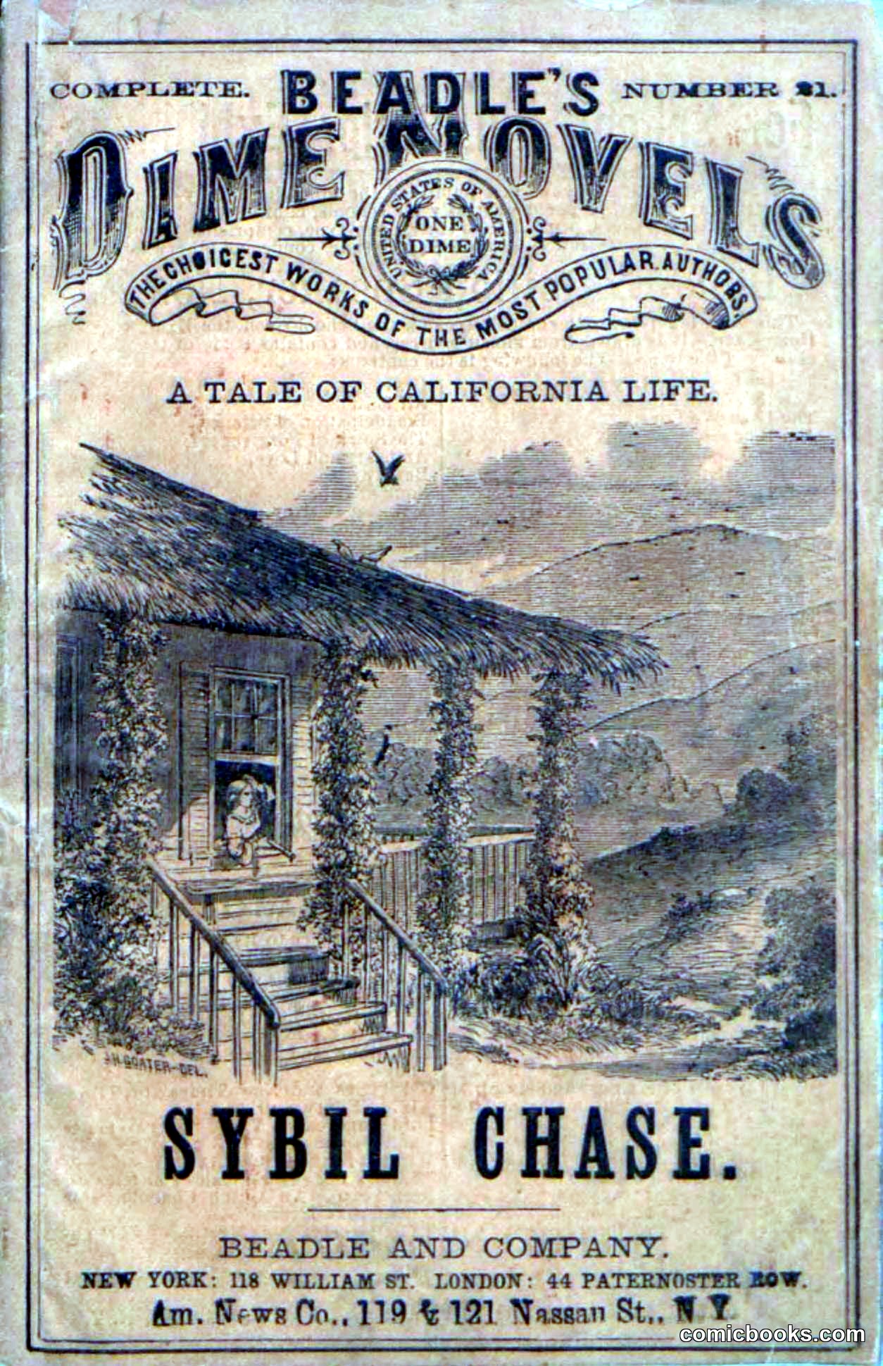 Beadle's Dime Novels No. 21