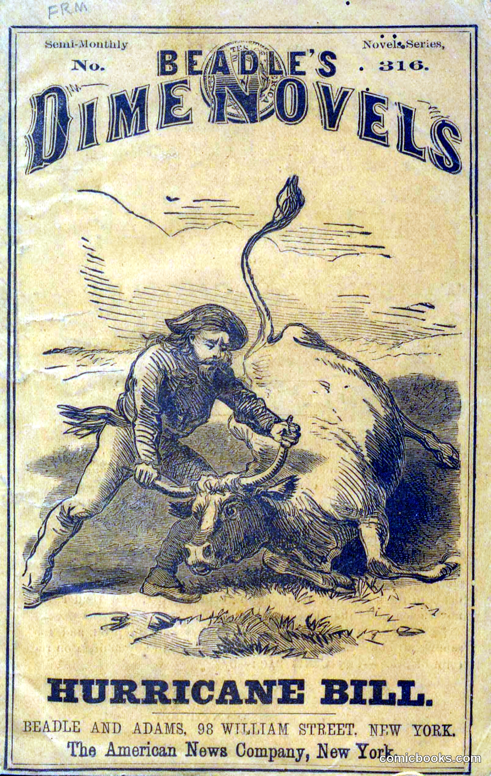 Beadle's Dime Novels No. 316: Hurricane Bill