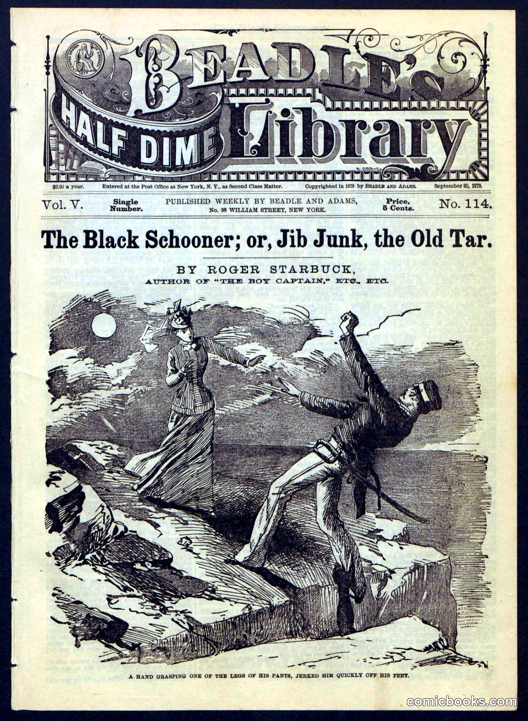 The Black Schooner; or, Jib Junk, the Old Tar