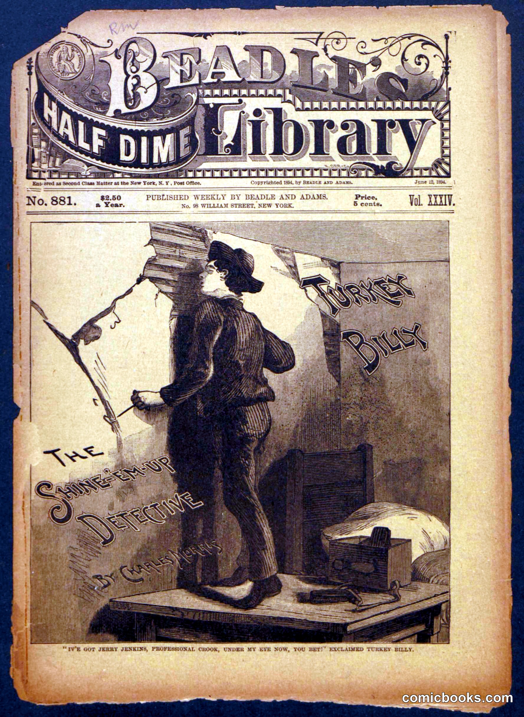 Beadle's Half Dime Library, No. 881