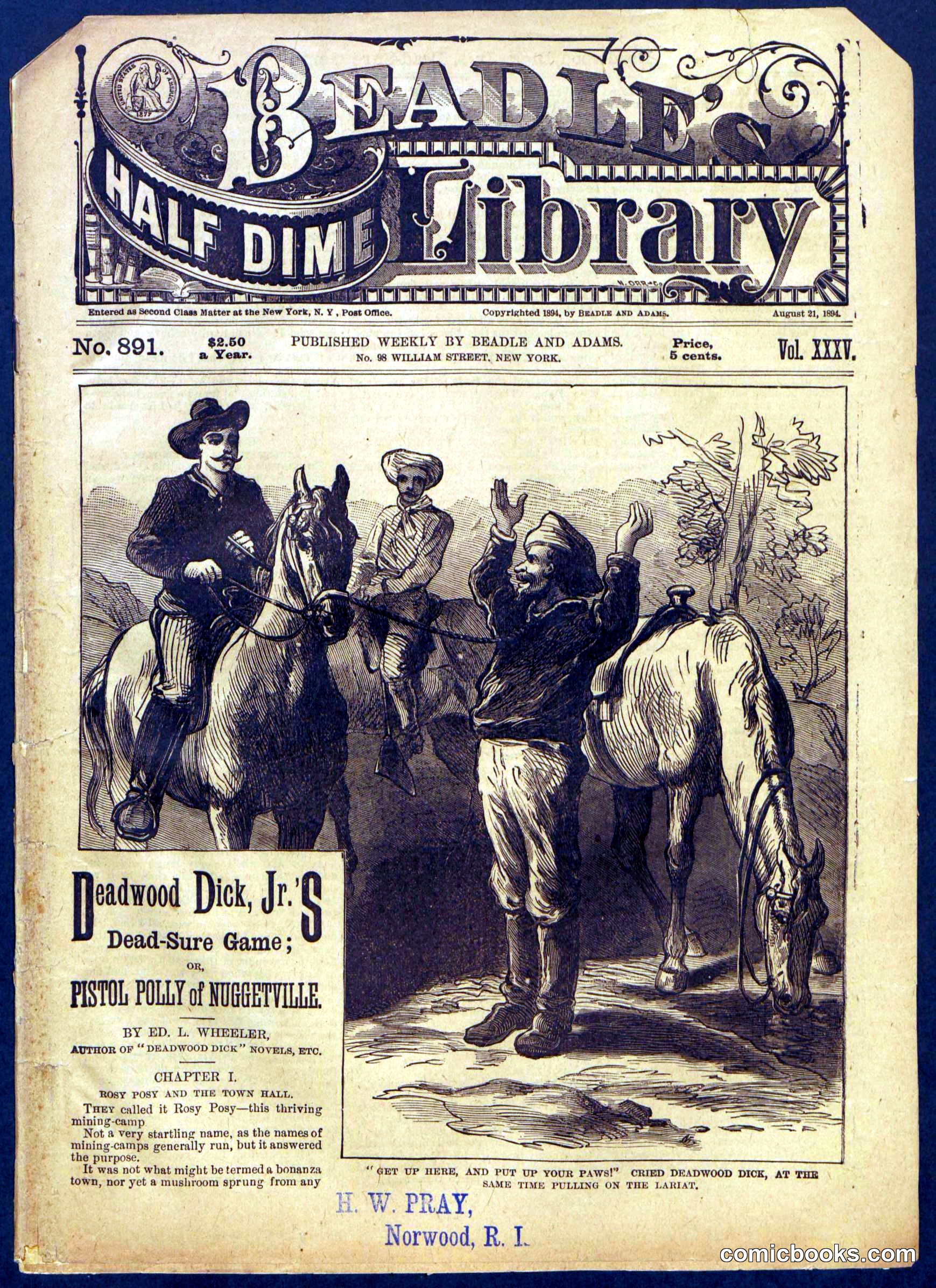 Beadle's Half Dime Library No. 891