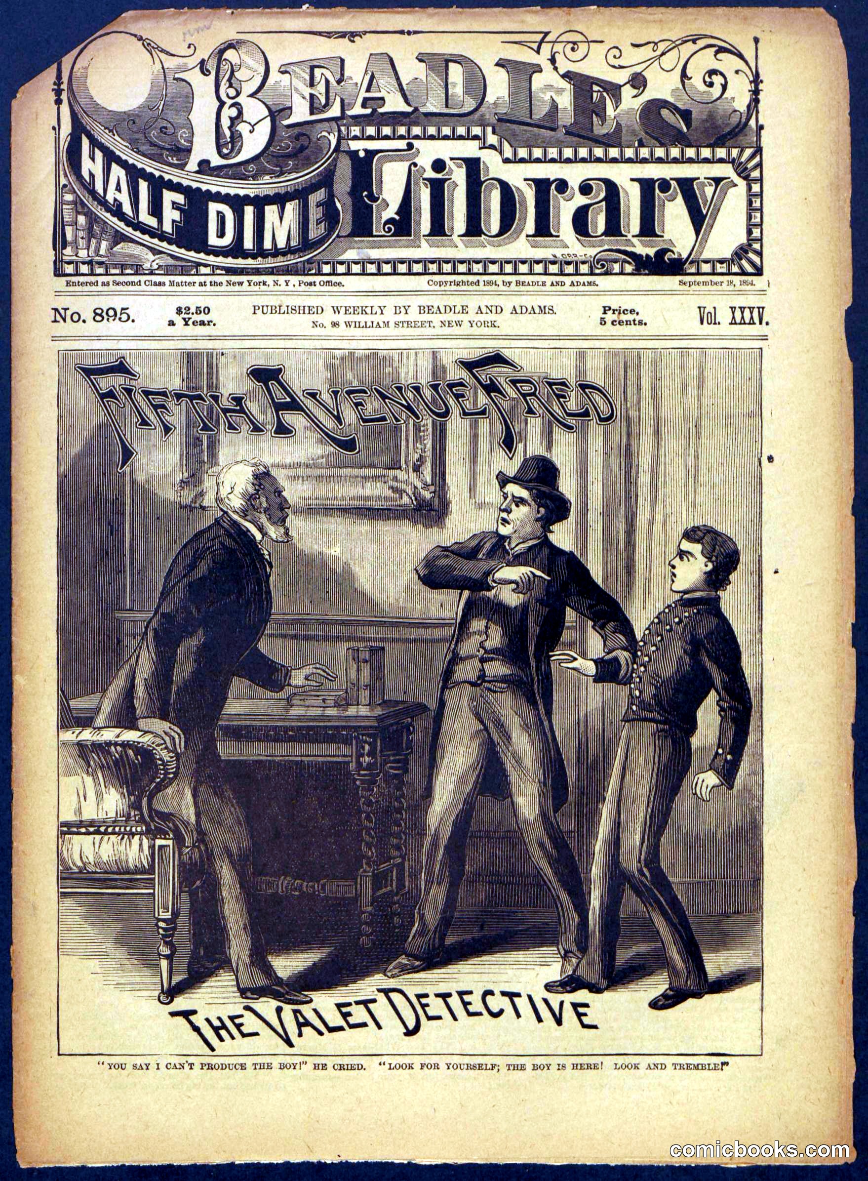 Beadle's Half Dime Library, No. 895