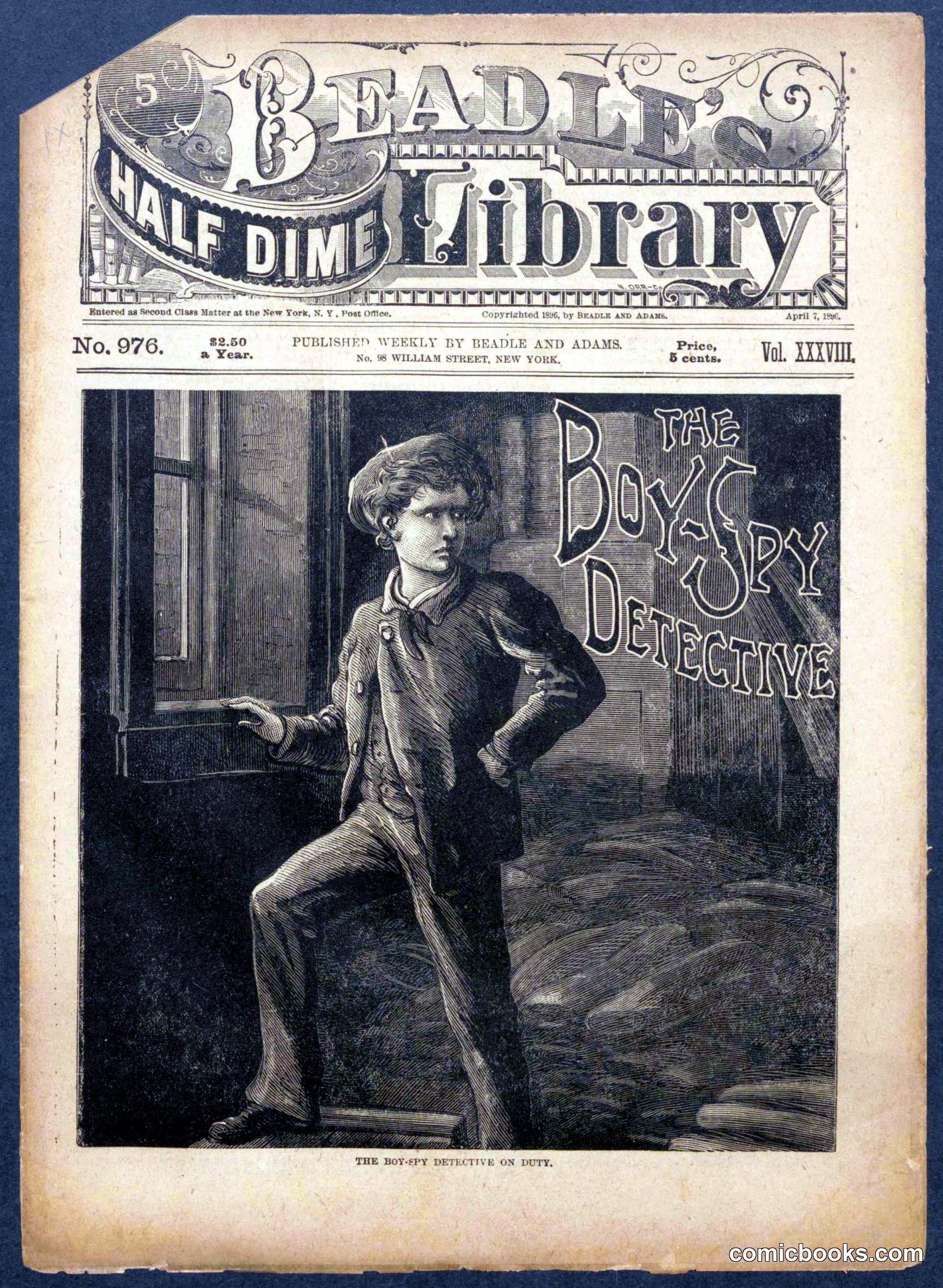 The Boy Spy Detective