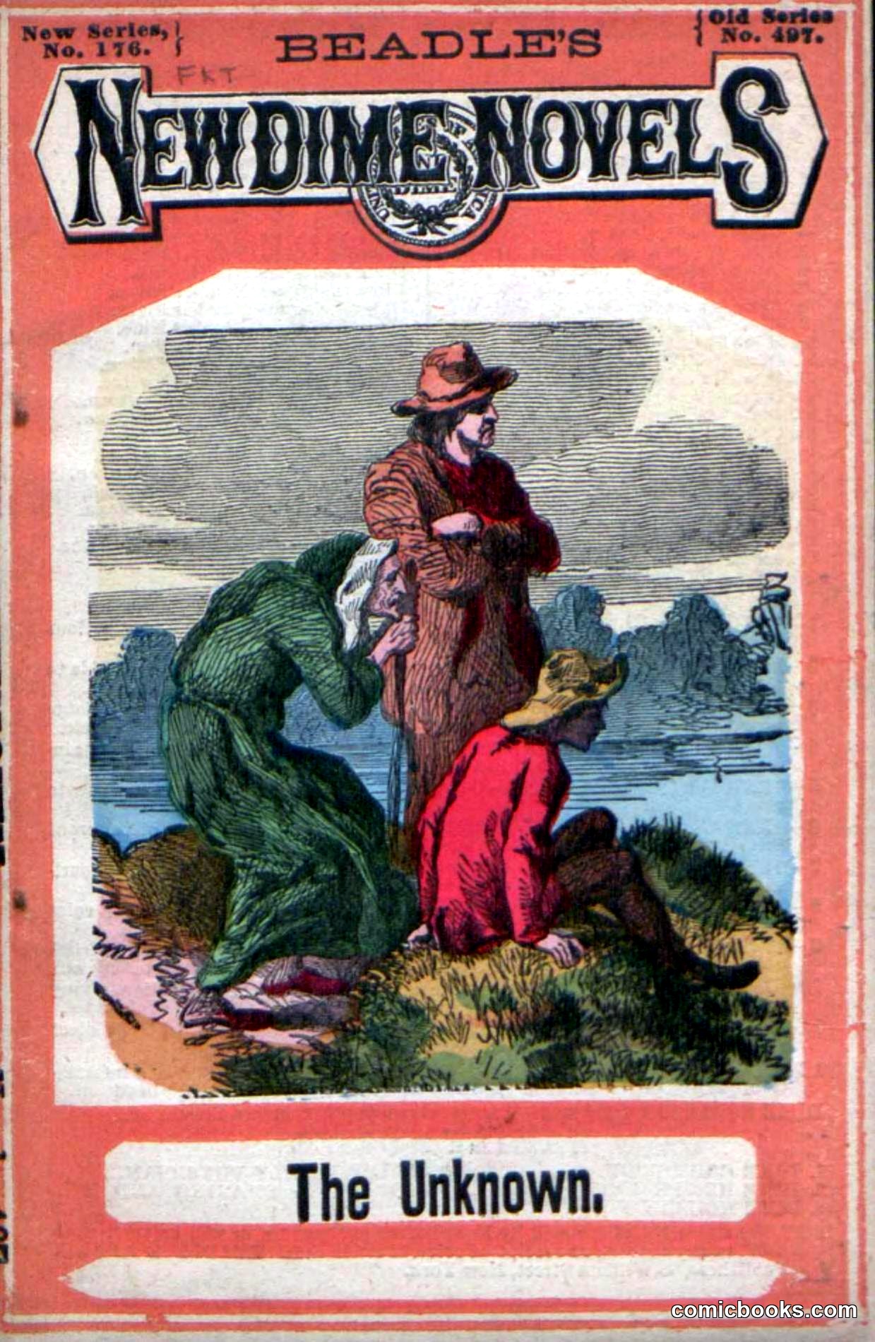 Beadle's New Dime Novels: The Unknown