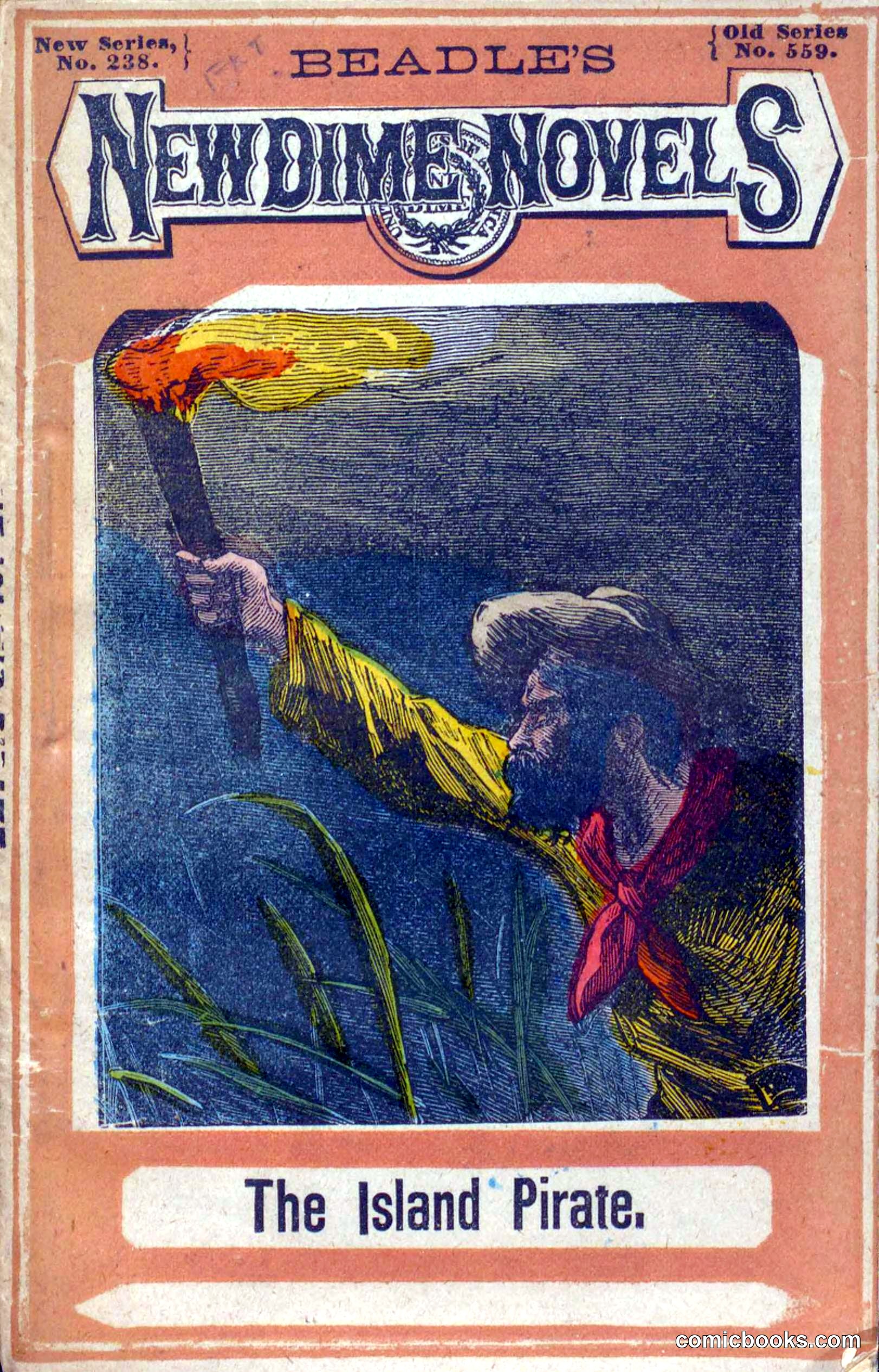 The Island Pirate