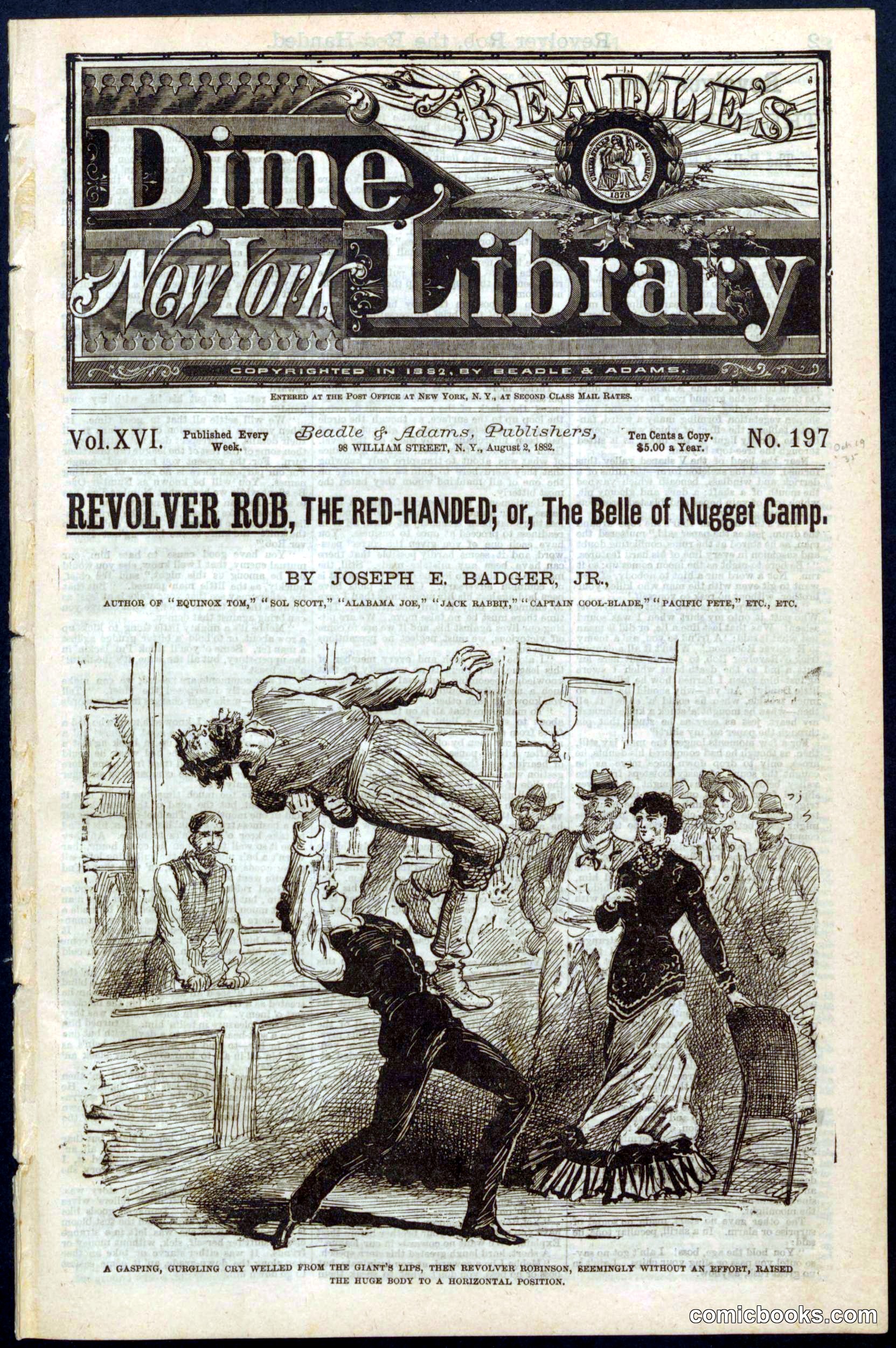 Beadle's New York Dime Library, No. 197