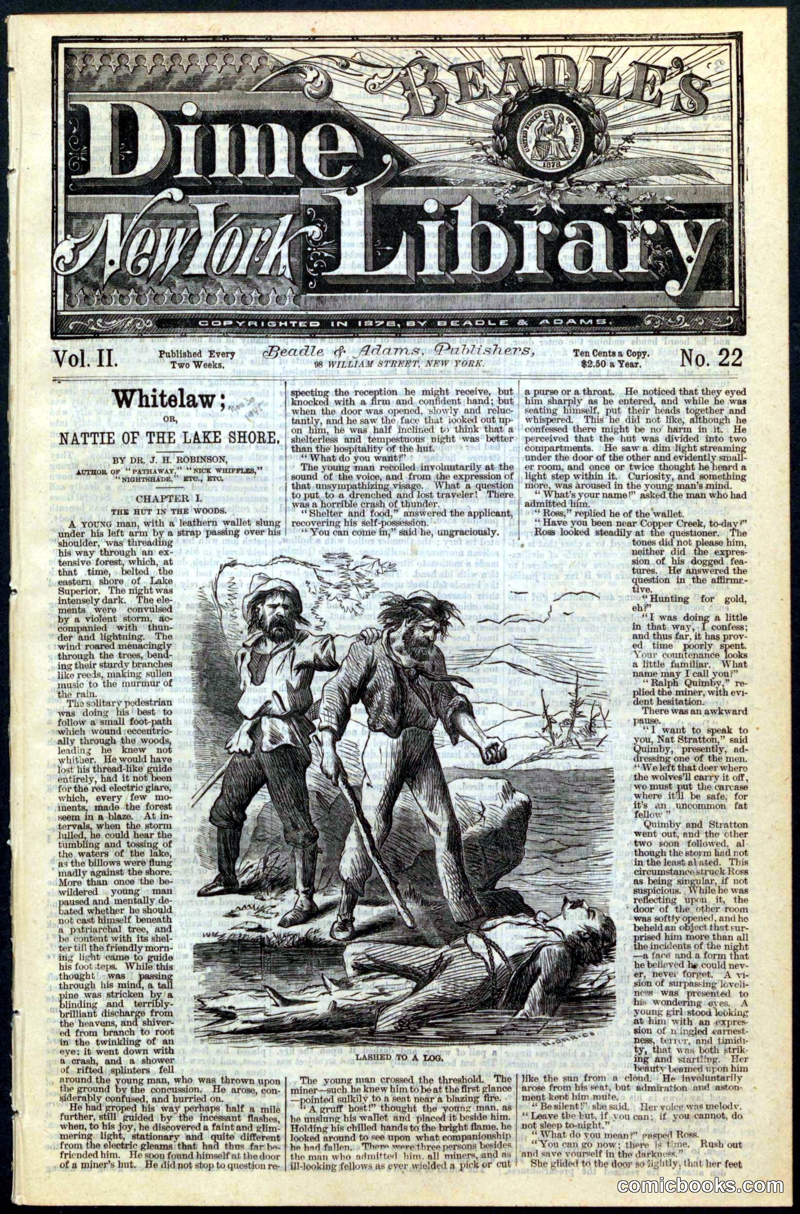 Beadle's New York Dime Library, No. 22