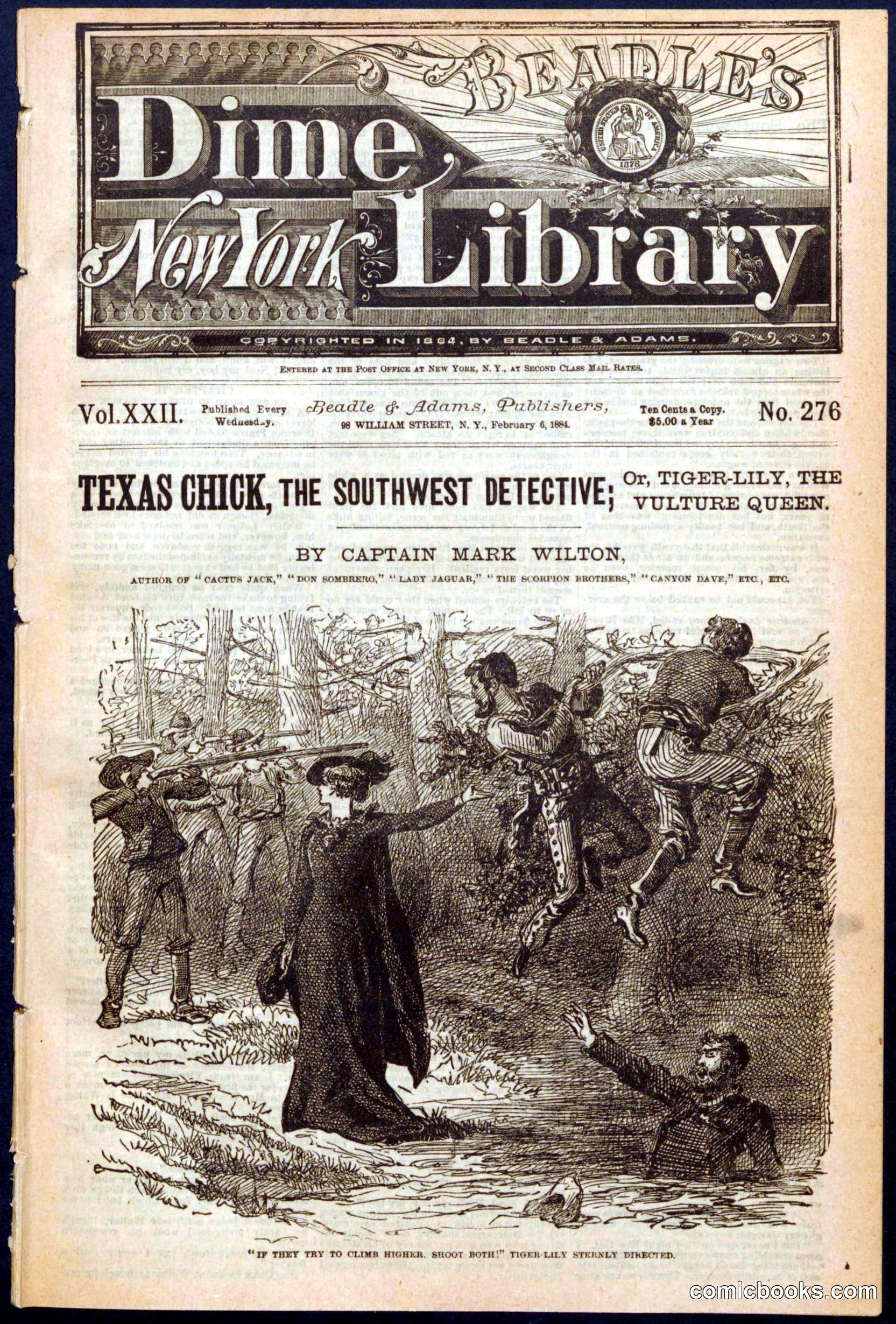 Beadle's Dime Library, No. 276