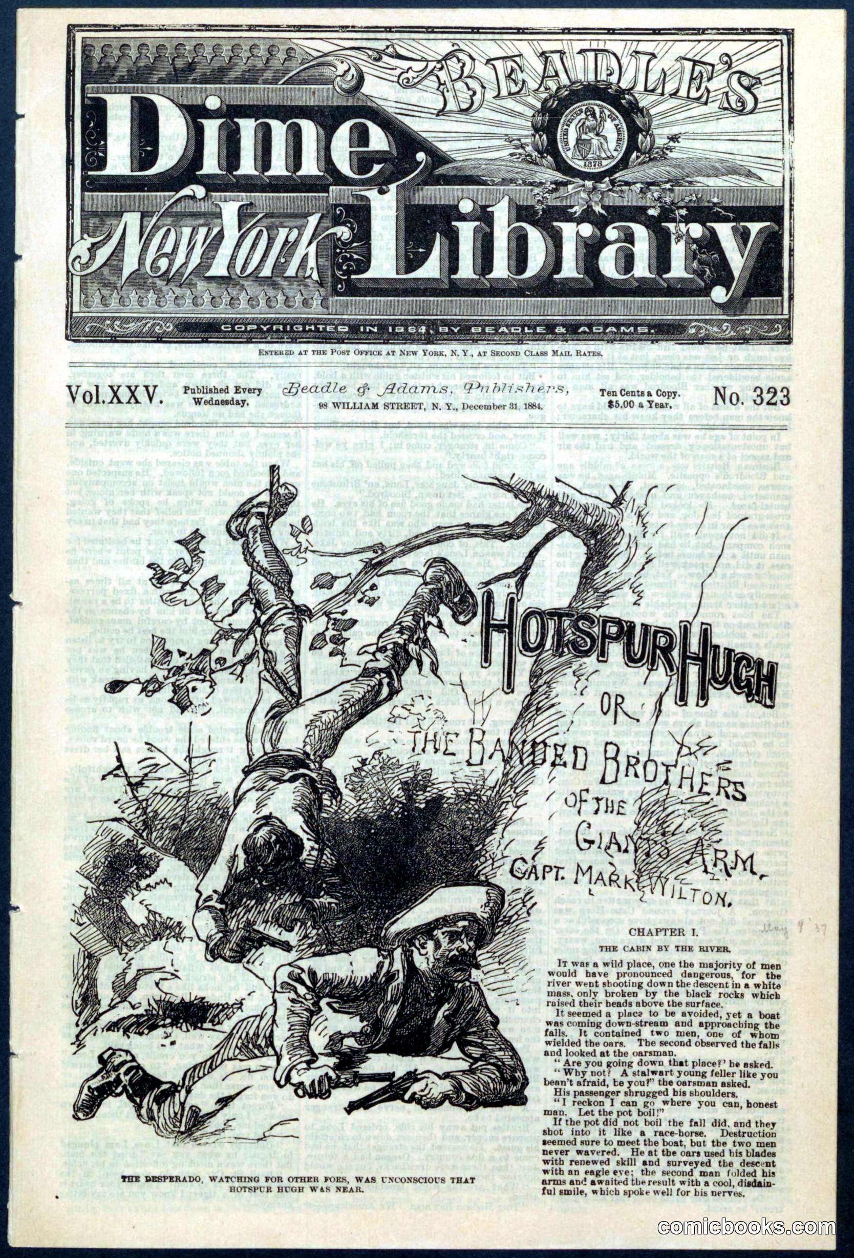 Beadle's New York Dime Library No. 323