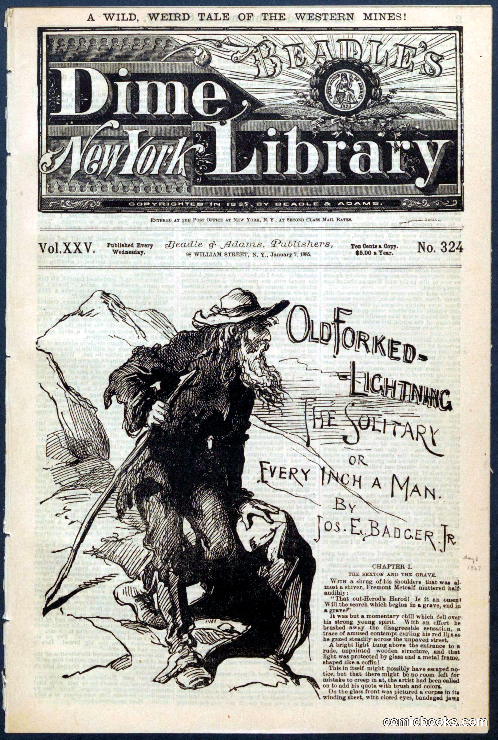 Beadle's Dime Library No. 324